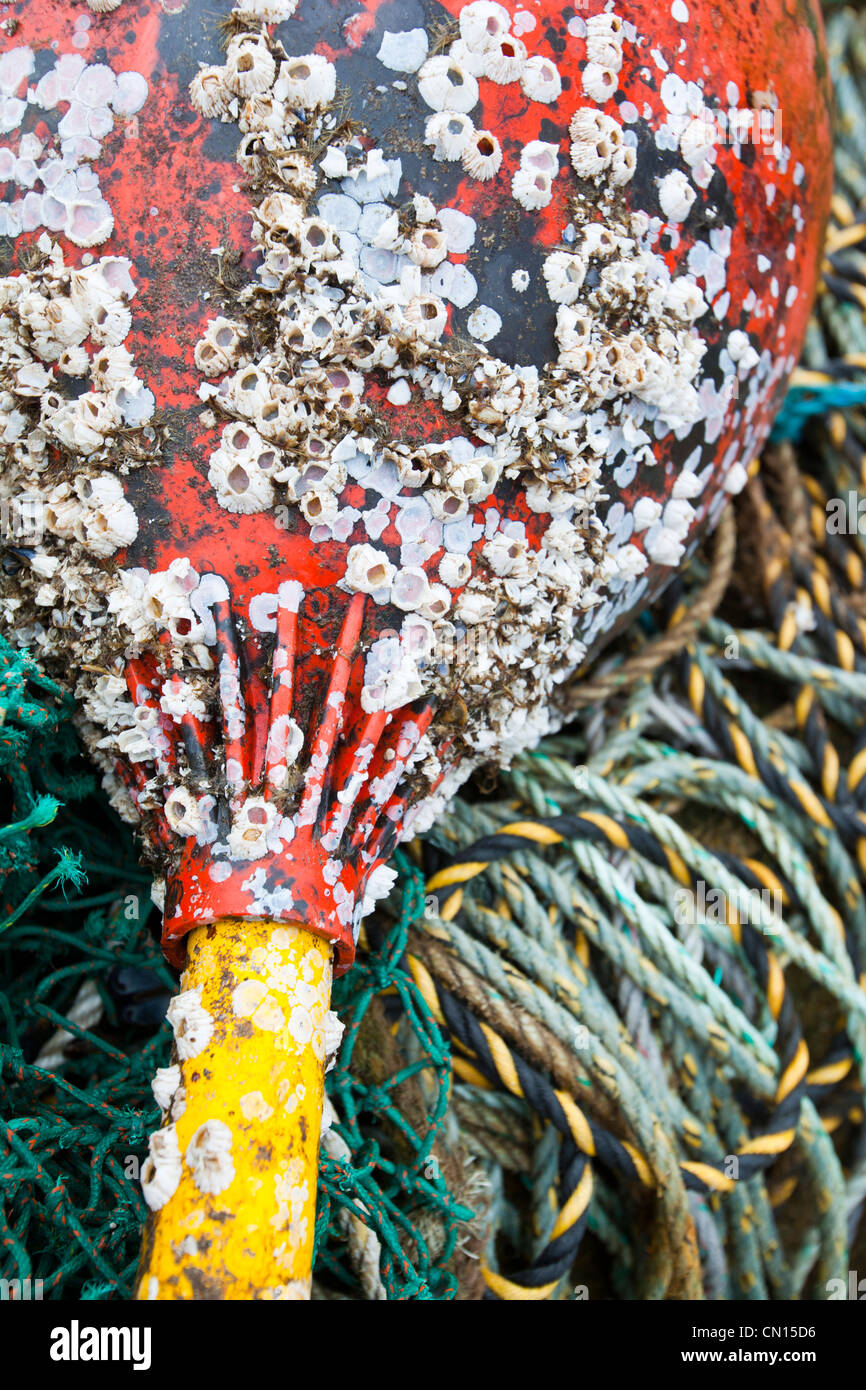 Attrezzi di pesca sul porto di Portnalong, Isola di Skye, Scotland, Regno Unito. Foto Stock