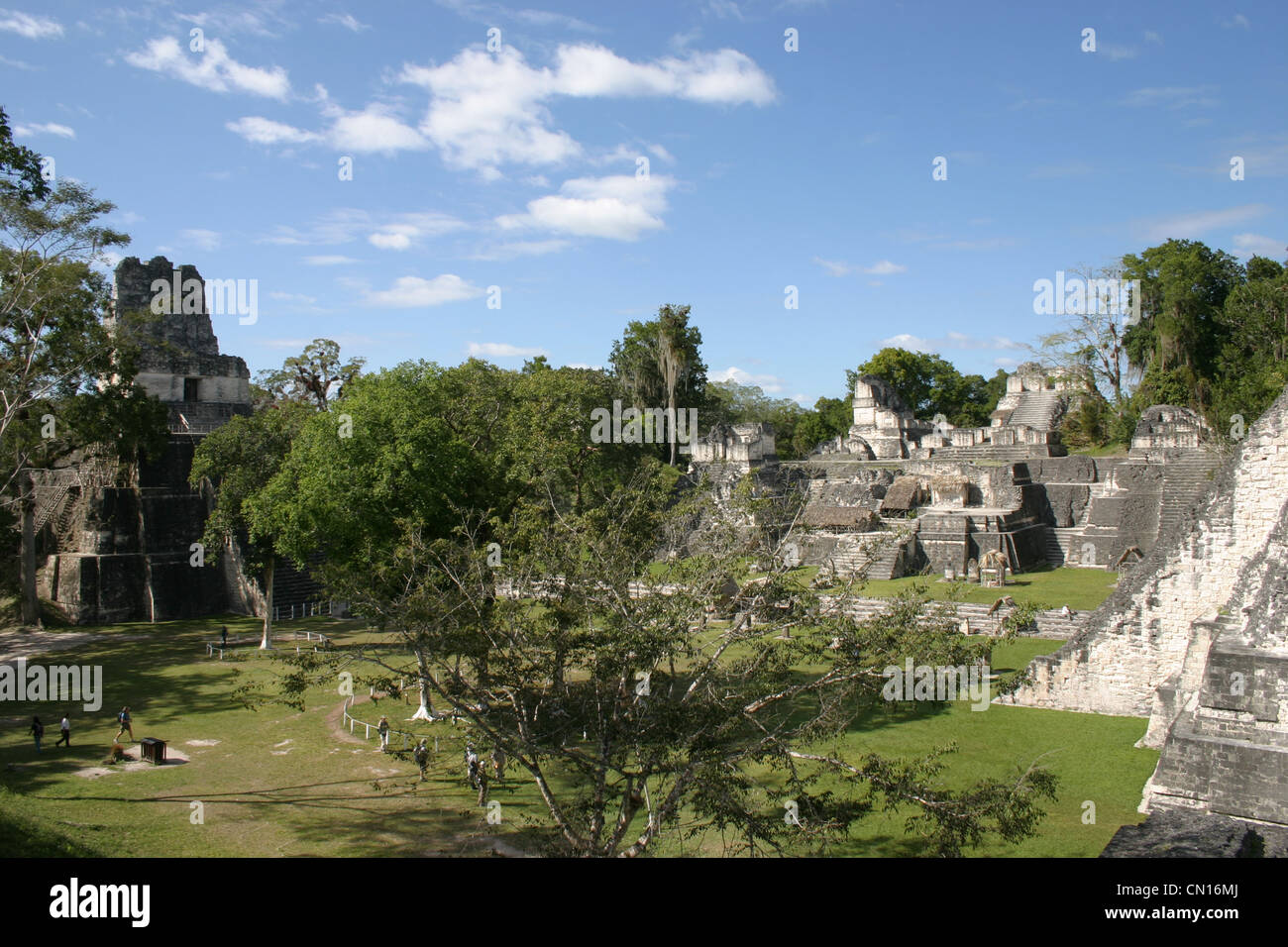 La Ruta Maya;Templi Maya nella giungla di Tikal Guatemala.Central America Foto Stock