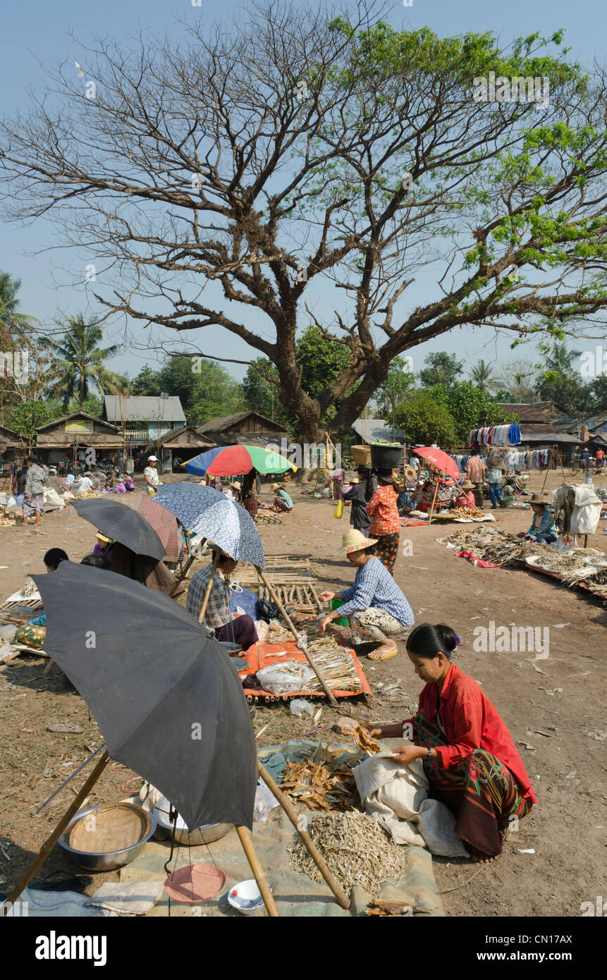 Mercato giornaliero in Myaungmya. Delta di Irrawaddy. Myanmar. Foto Stock