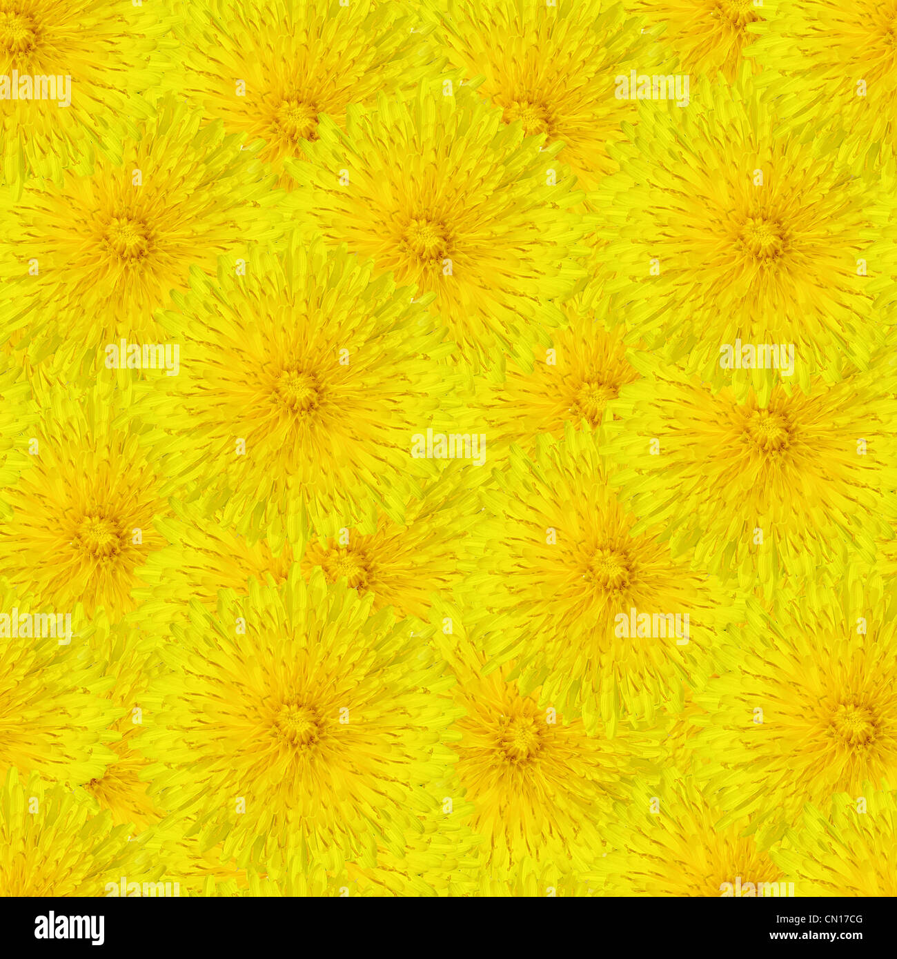 Piastrellabile seamless pattern con fiori di dente di leone Foto Stock