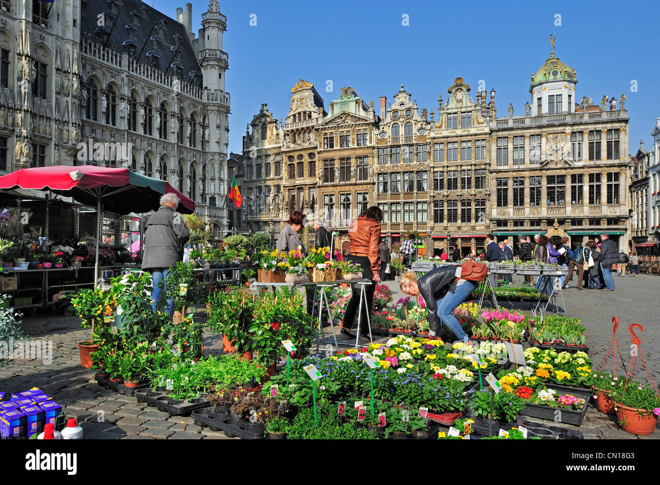 Pressione di stallo di fiori nella parte anteriore del Bruxelles Municipio presso la Grand Place / Grote Markt, Belgio Foto Stock