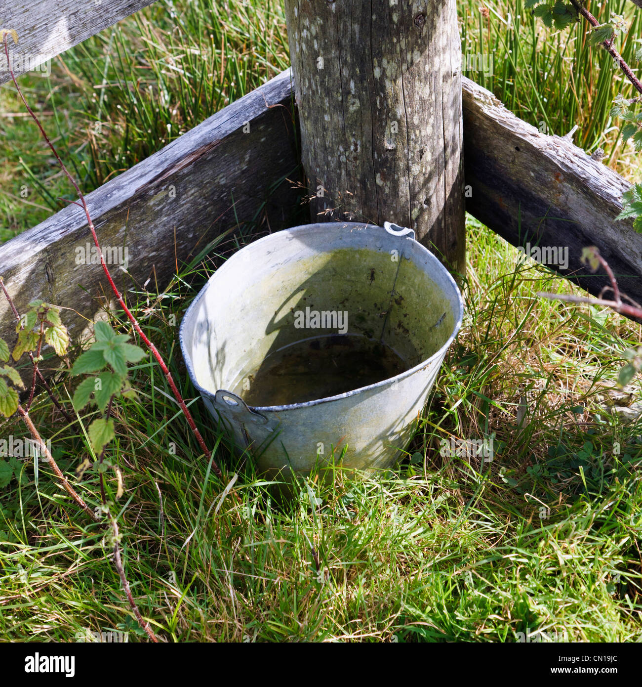 Secchio di acqua per gli animali contro la recinzione, Molly Gallivan's Cottage e fattoria tradizionale Visitor Center, Bonane, Irlanda Foto Stock
