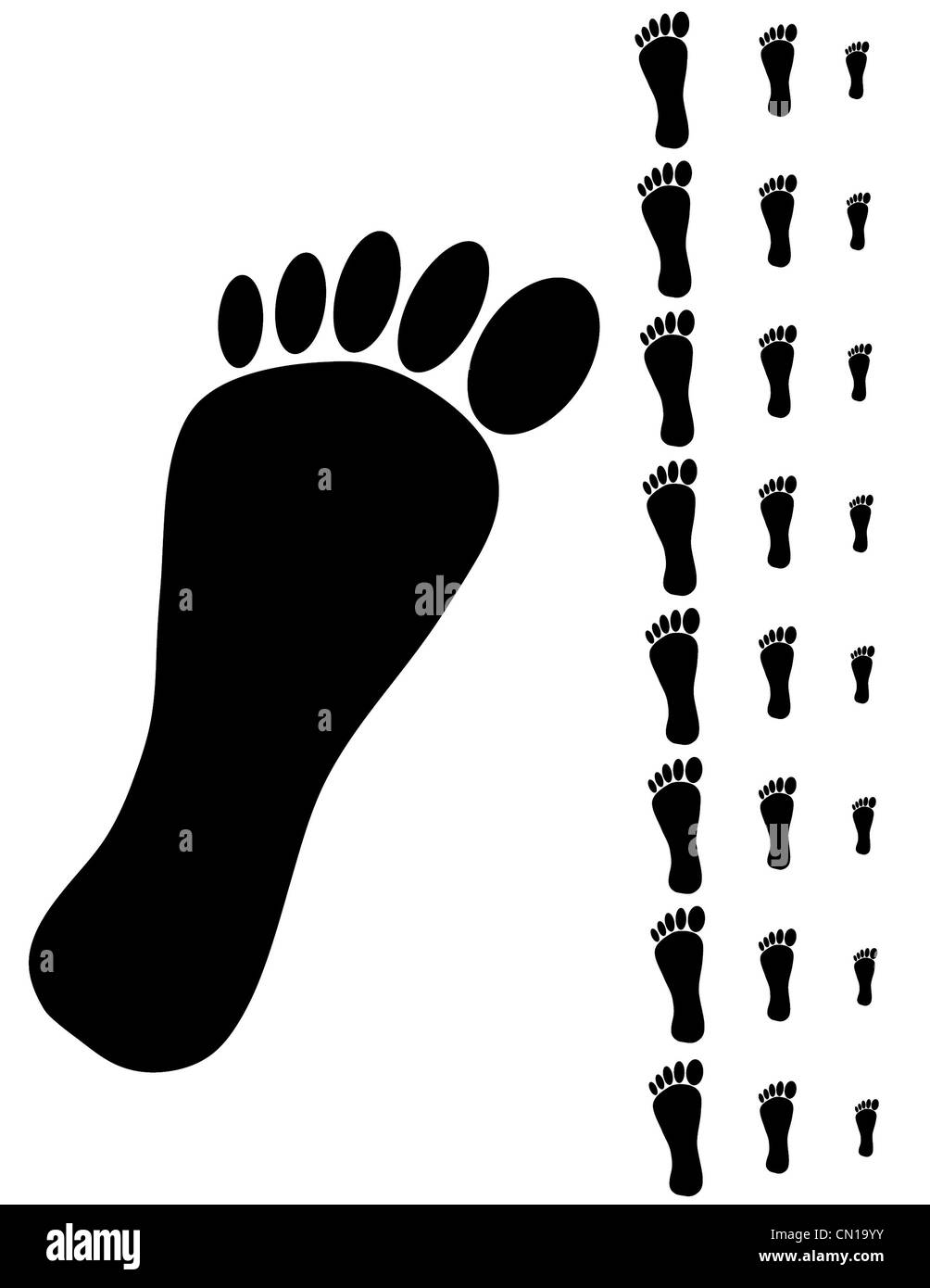 Dettaglio del piedino nero su uno sfondo bianco. Foto Stock