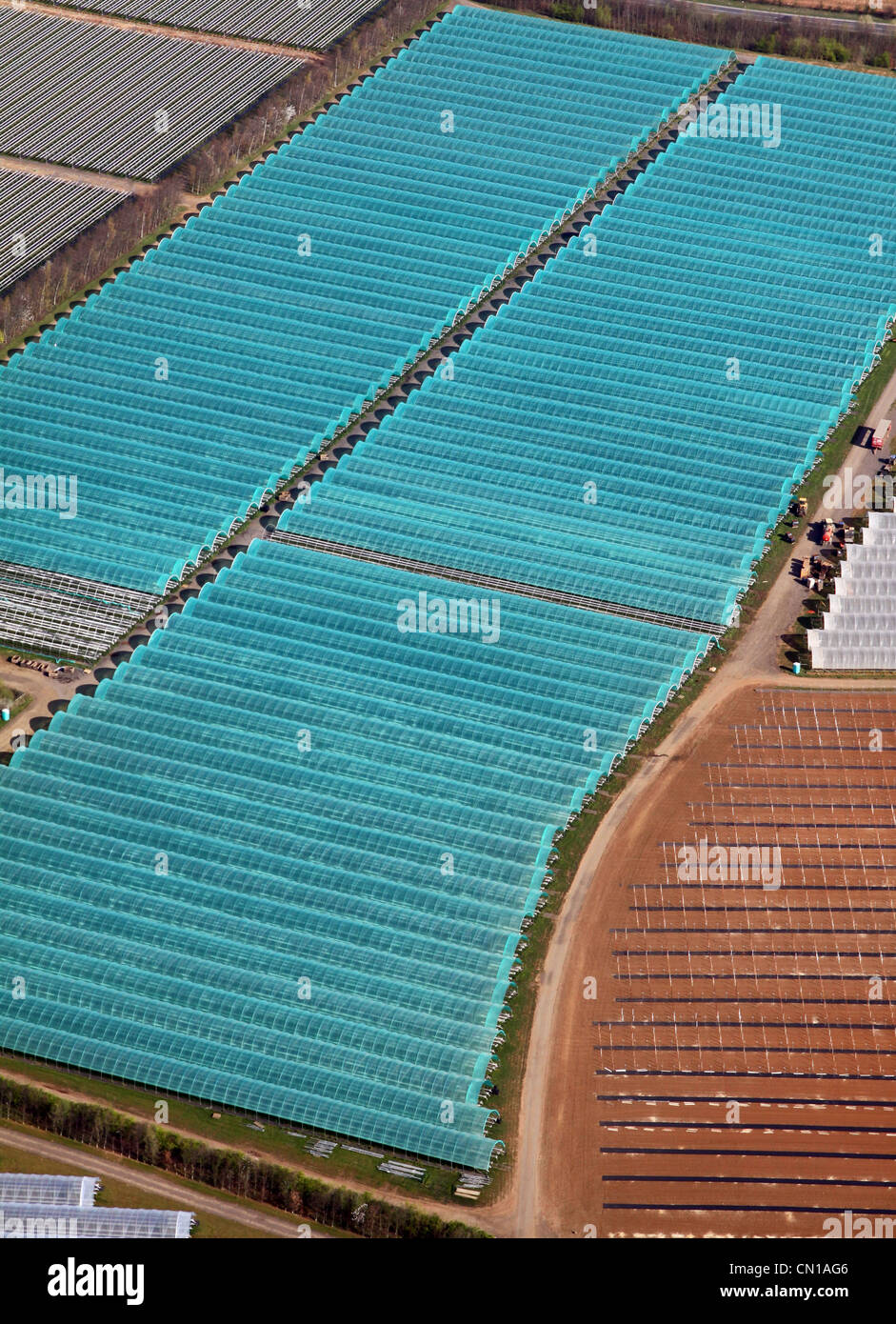 Veduta aerea dei polytunnel commerciali presso l'azienda di produttori commerciali di Makins a Garforth vicino Leeds, presa nel 2012 Foto Stock