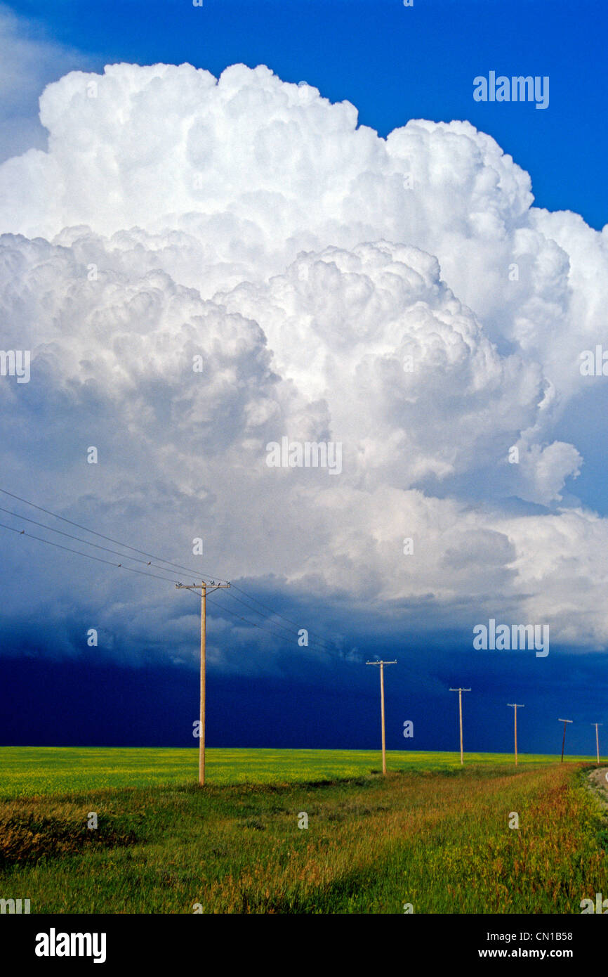 Le linee di alimentazione con un cumulonimbus supercell massa cloud, vicino Bromhead, Saskatchewan Foto Stock