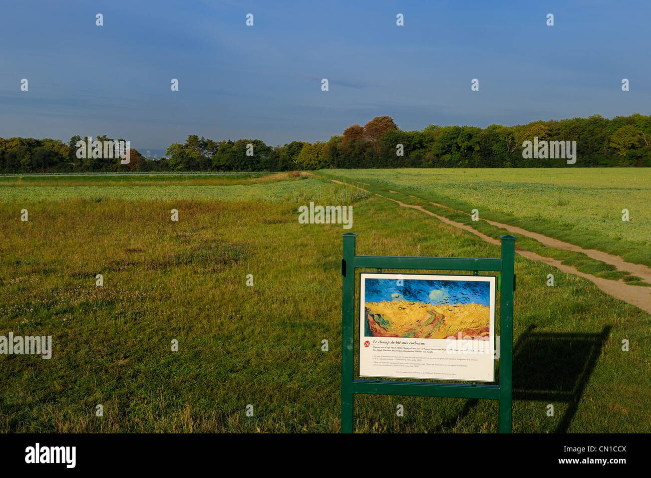 Francia, Val-d'Oise, Auvers-sur-Oise, Foto Stock