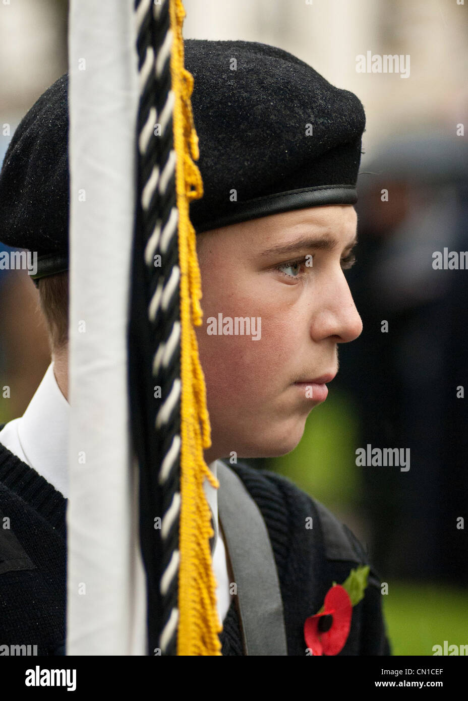 14/11/2010. Cadetti e Scouts parade presso la rimembranza service terrà in Old Steine, Brighton. Foto Stock