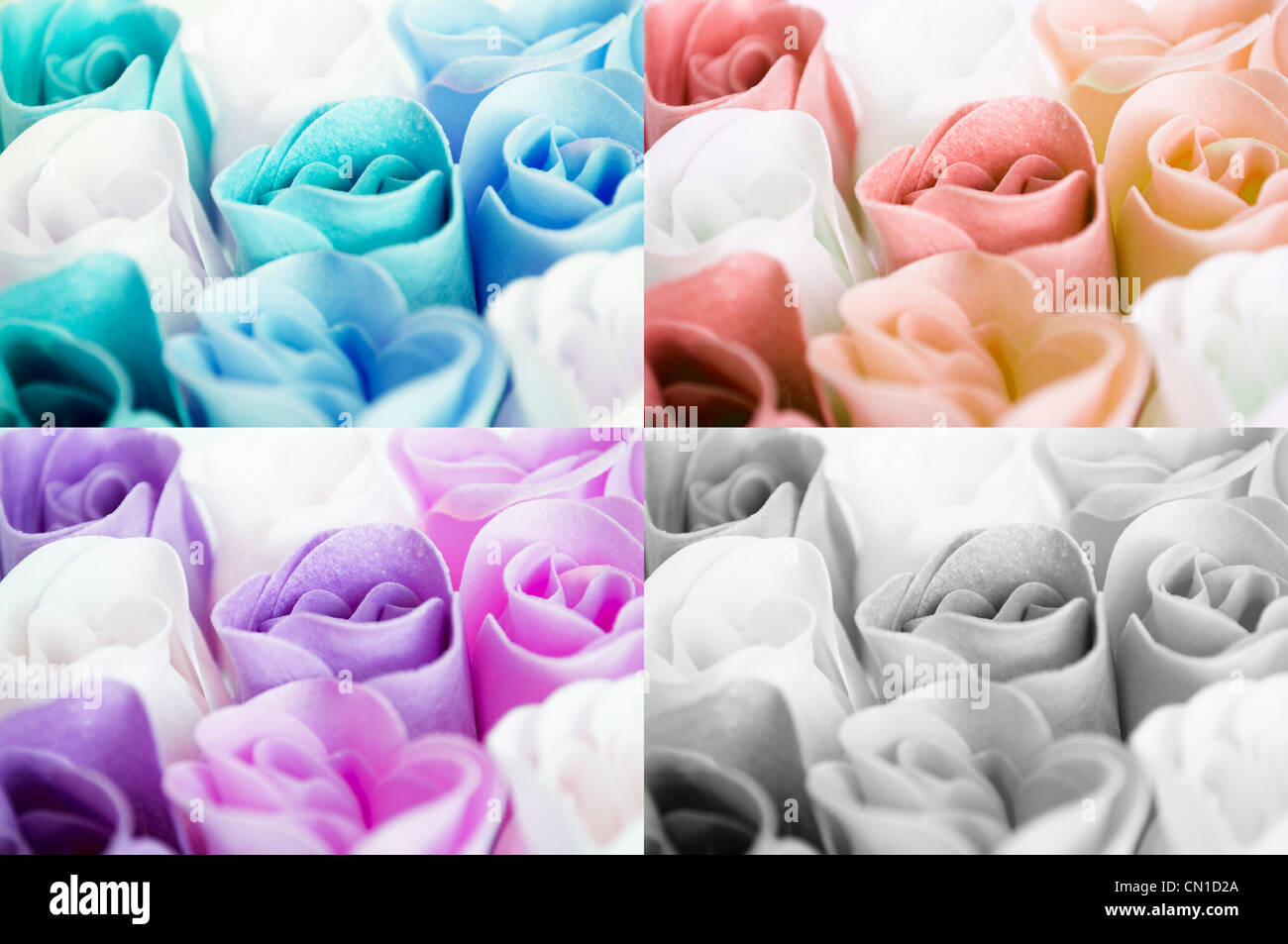 Collezione multicolore di rose Foto Stock