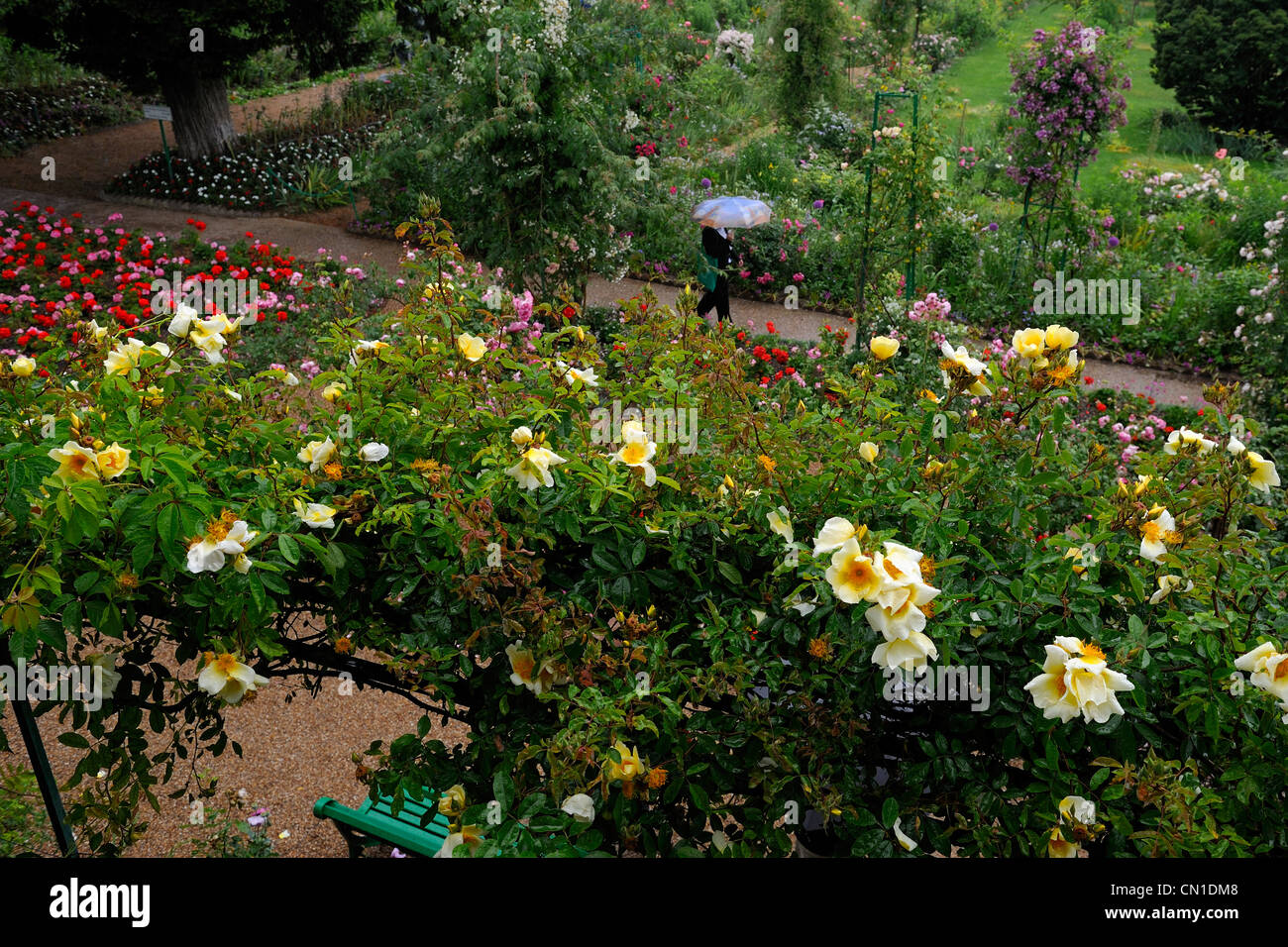 Francia, Eure, Giverny, Claude Monet giardino Foto Stock
