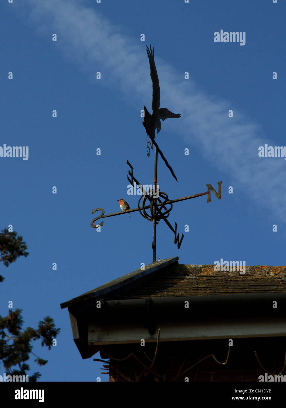 Un Robin si siede su una banderuola contro un cielo blu Foto Stock