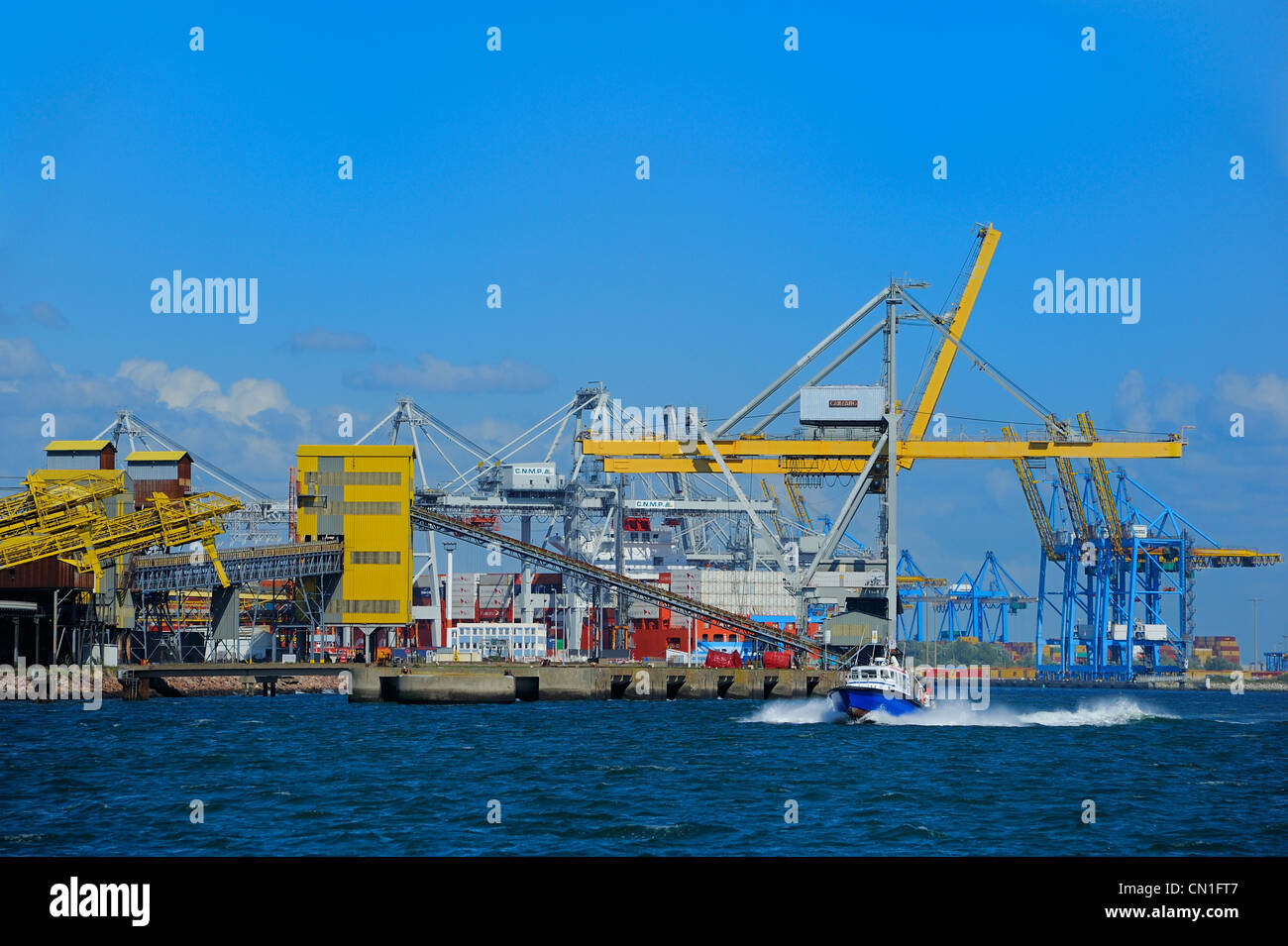 Francia, Seine Maritime, Le Havre porto commerciale, René Coty bacino di docking e sue gru Foto Stock