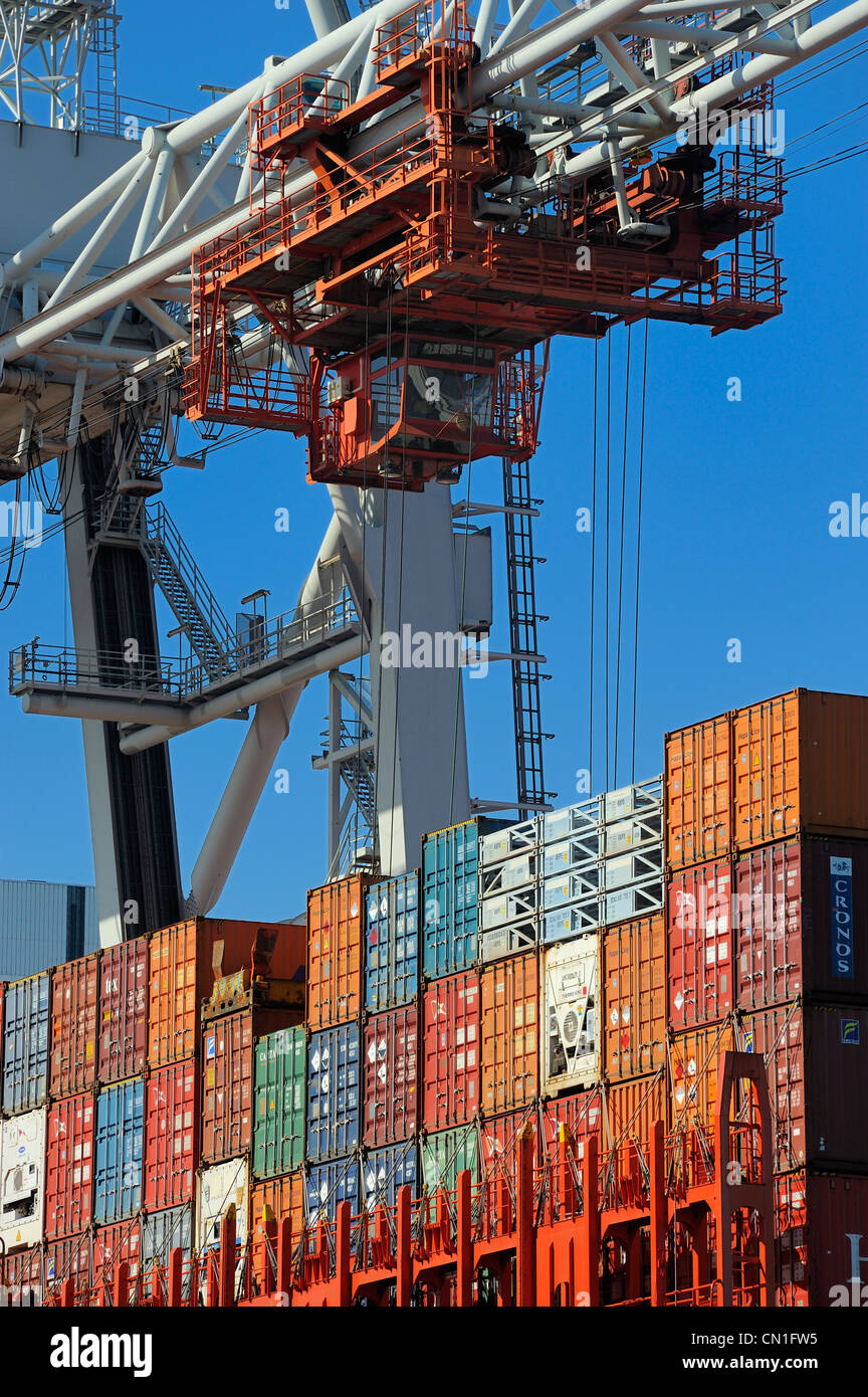Francia, Seine Maritime, Le Havre porto commerciale, nave portacontainer nel rene Coty bacino di docking e la gru il trasbordo Foto Stock