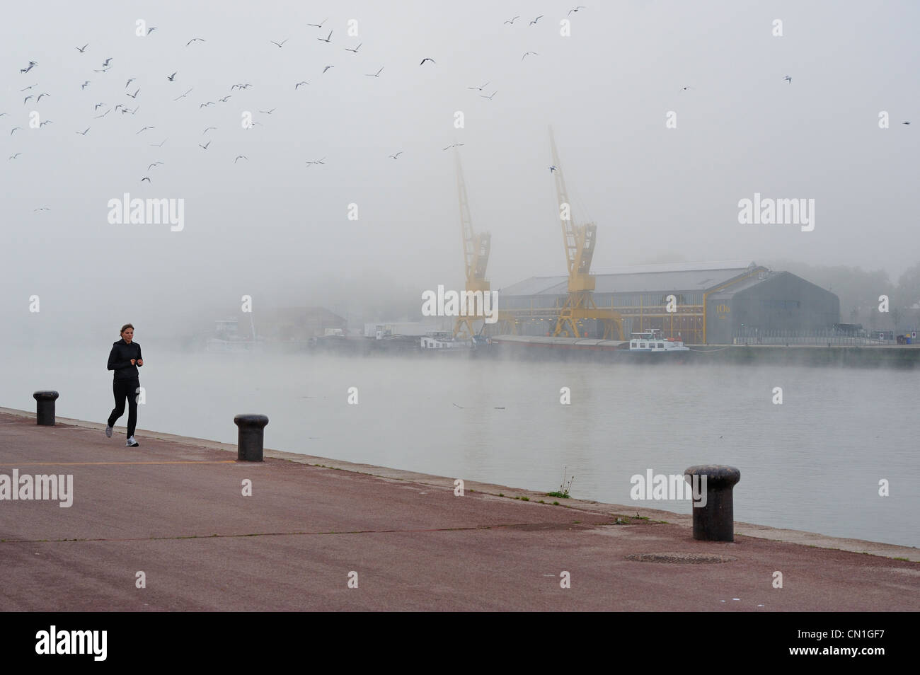 Francia, Seine Maritime, Rouen, l'ex docks lungo la Senna, le gru sotto la nebbia Foto Stock