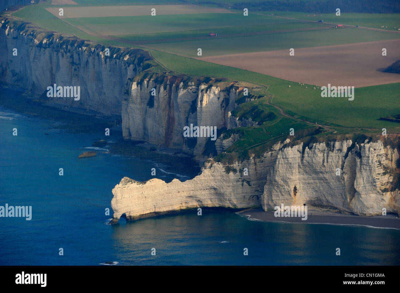 Francia, Seine Maritime, Cote d'Alabastro (costa di alabastro), Etretat, la falaise d'Amont (Amont Cliff) (vista aerea) Foto Stock