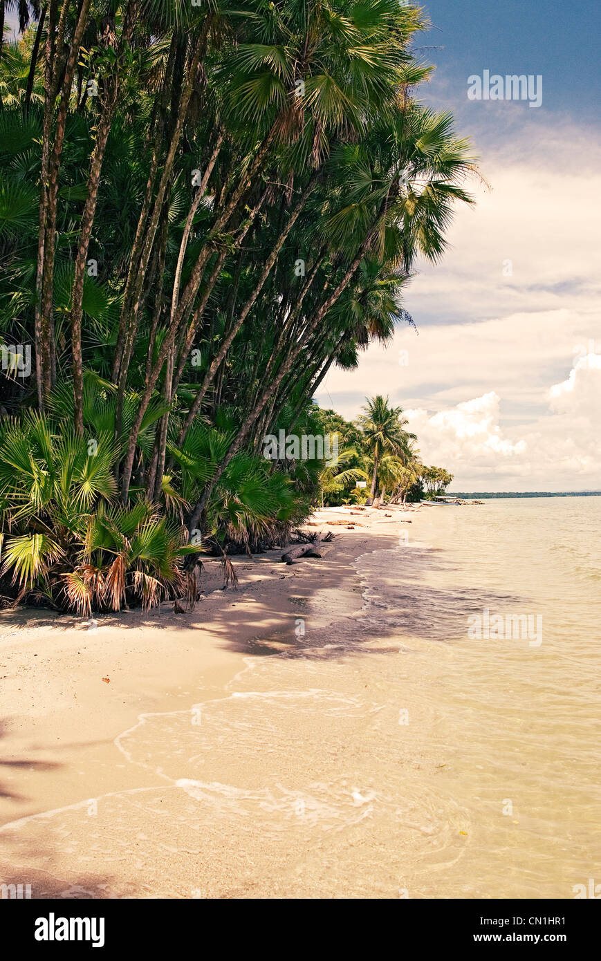 Playa Blanca, una spiaggia di sabbia bianca sul Guatemala costa dei Caraibi Foto Stock