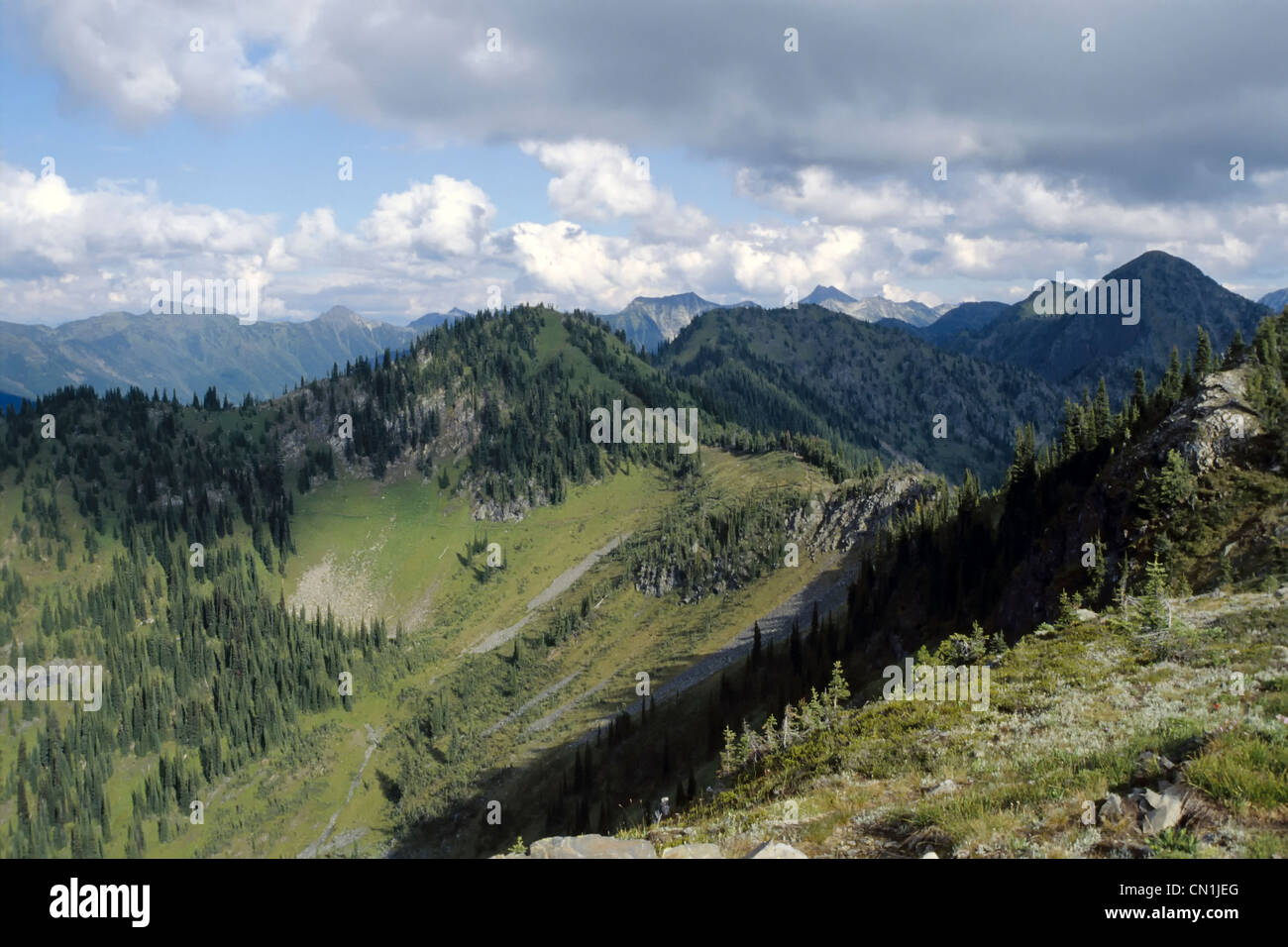 Montagna alta vista dall'interno Valhalla Parco Provinciale, Slocan Valley, British Columbia Canada Foto Stock
