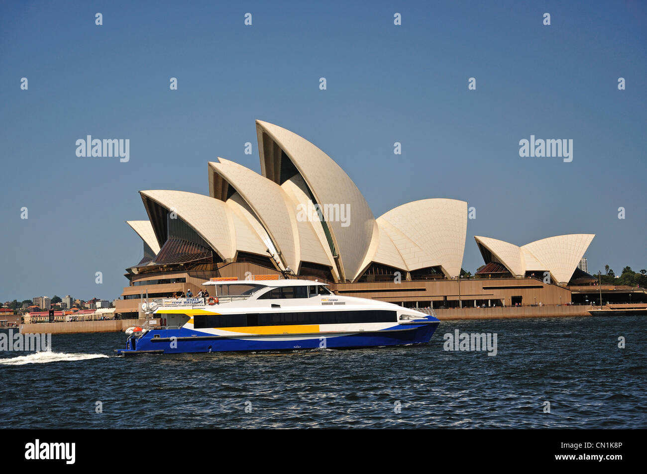 Sydney Opera House da Dawes Point Park, il Porto di Sydney, Sydney, Nuovo Galles del Sud, Australia Foto Stock