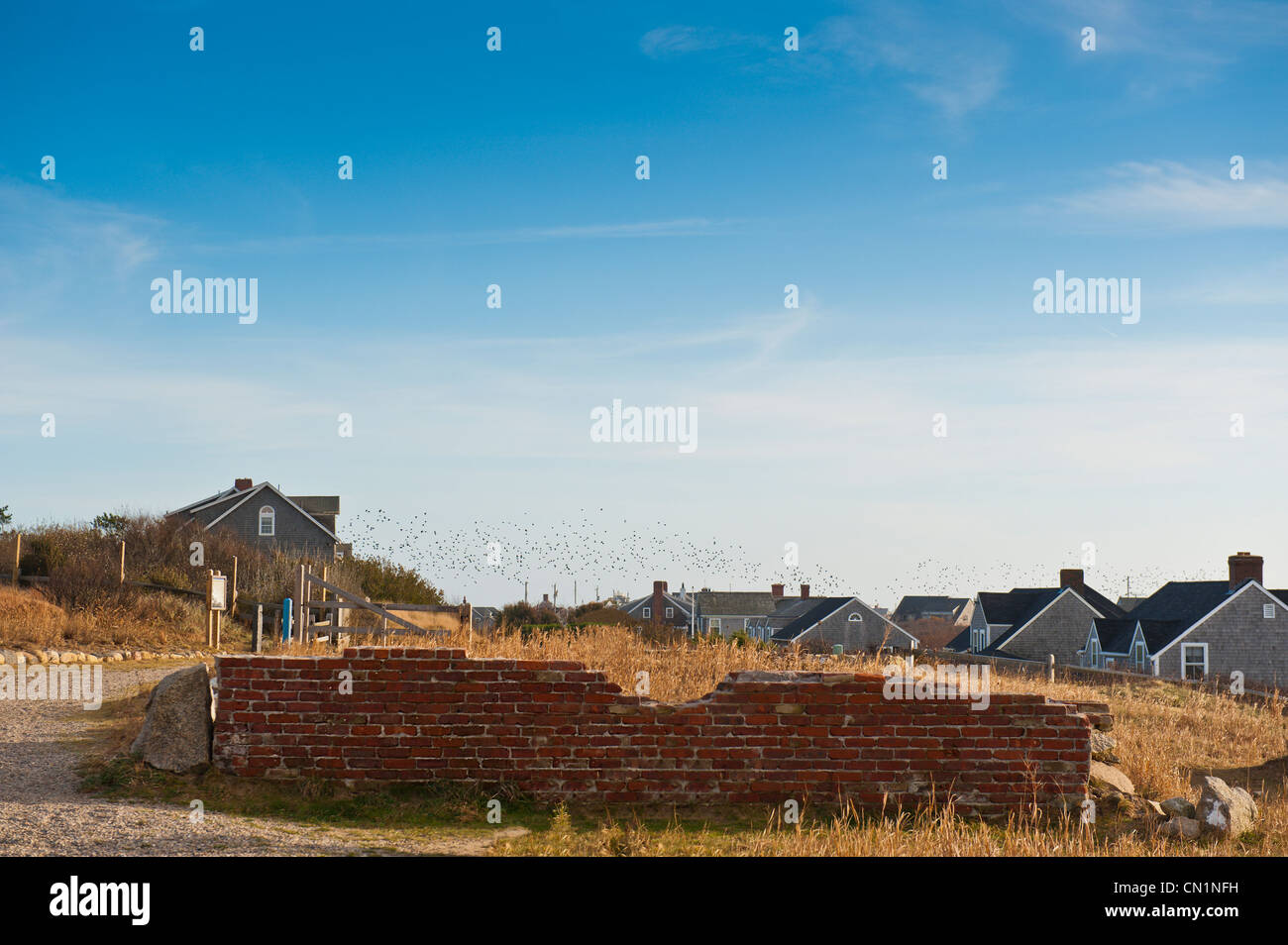 Autunno scena uno stormo di uccelli vola attraverso il cielo grigio cedro cottage incastrata su Nantucket Island, Massachusetts, STATI UNITI D'AMERICA. Foto Stock