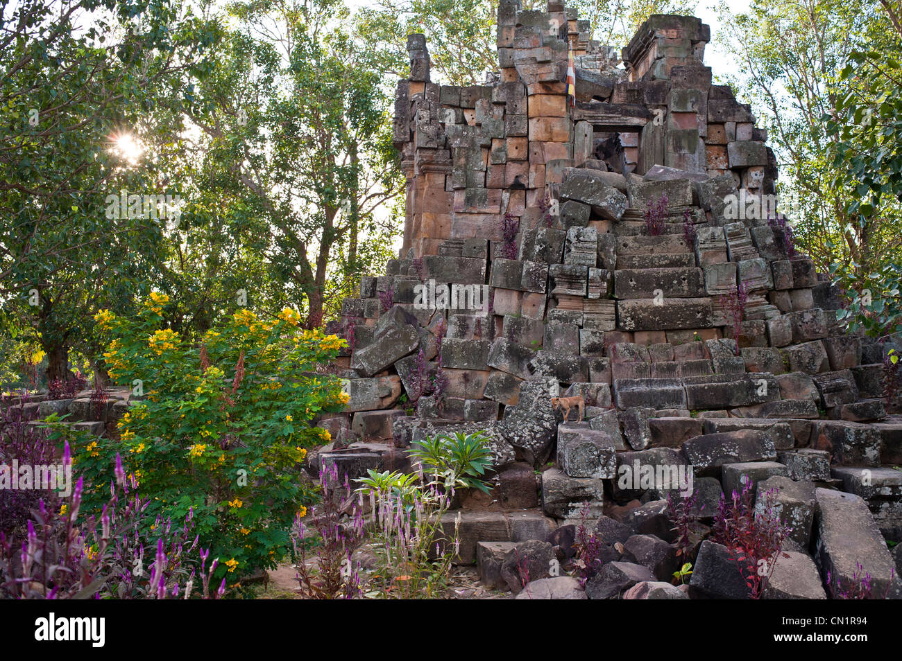 In Cambogia, in provincia di Battambang, frazioni di Battambang, Wat Ek Phnom tempio del XI secolo Foto Stock