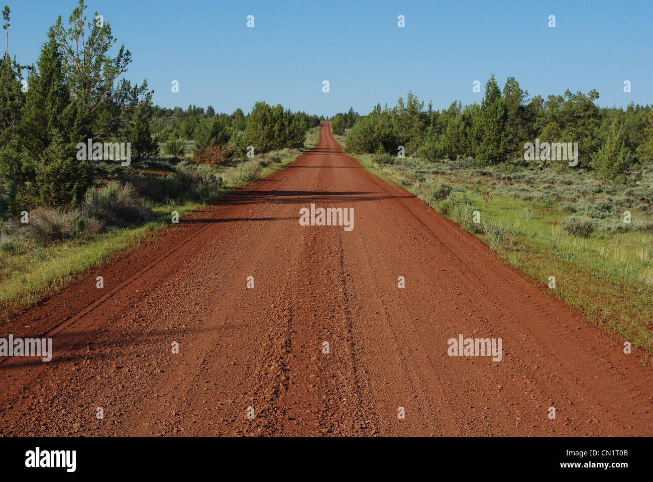 Rosso su strada sterrata vicino al grande serbatoio di salvia e Alturas, California Foto Stock