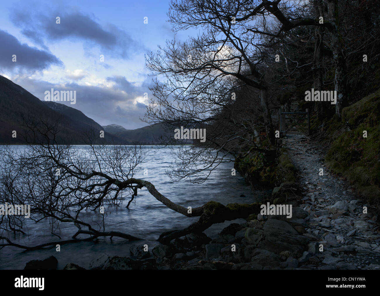 Buttermere lago con alberi, Lake District, Cumbria, England, Regno Unito Foto Stock