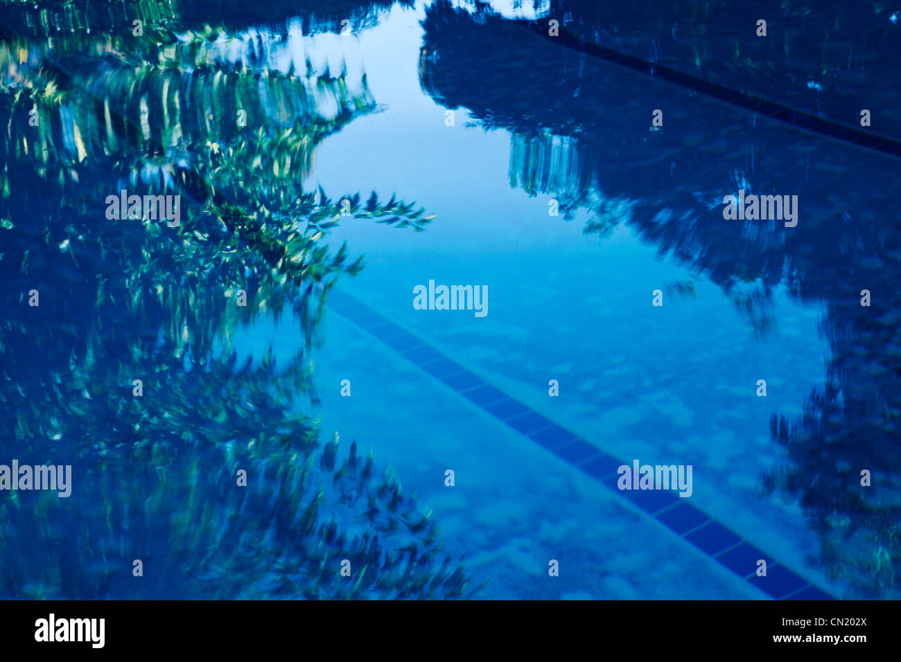 Alberi nella riflessione di una superficie di piscine Foto Stock