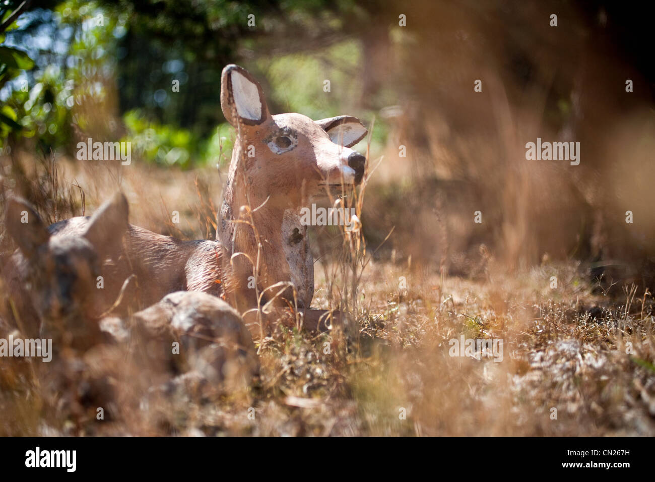 Statuetta di cervi nel campo Foto Stock