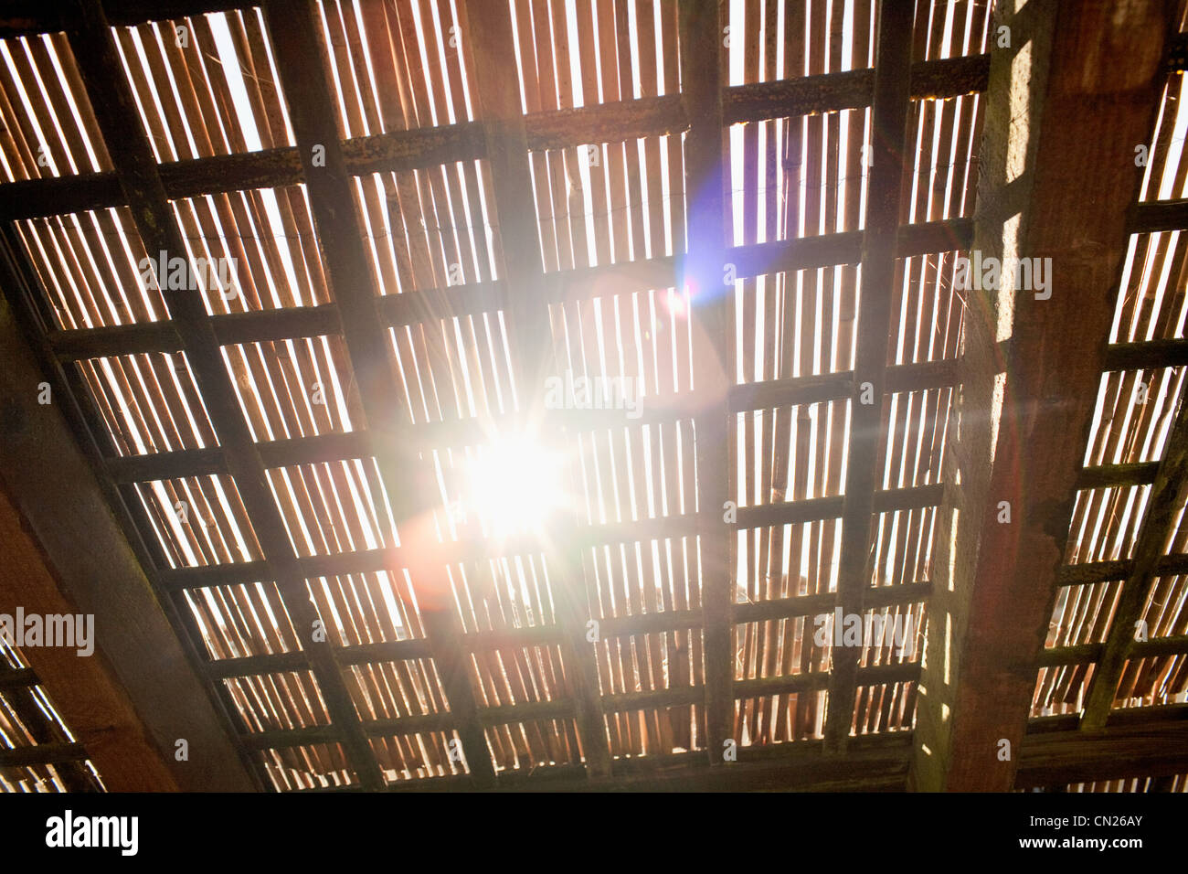 La luce del sole proveniente attraverso il soffitto di bambù Foto Stock