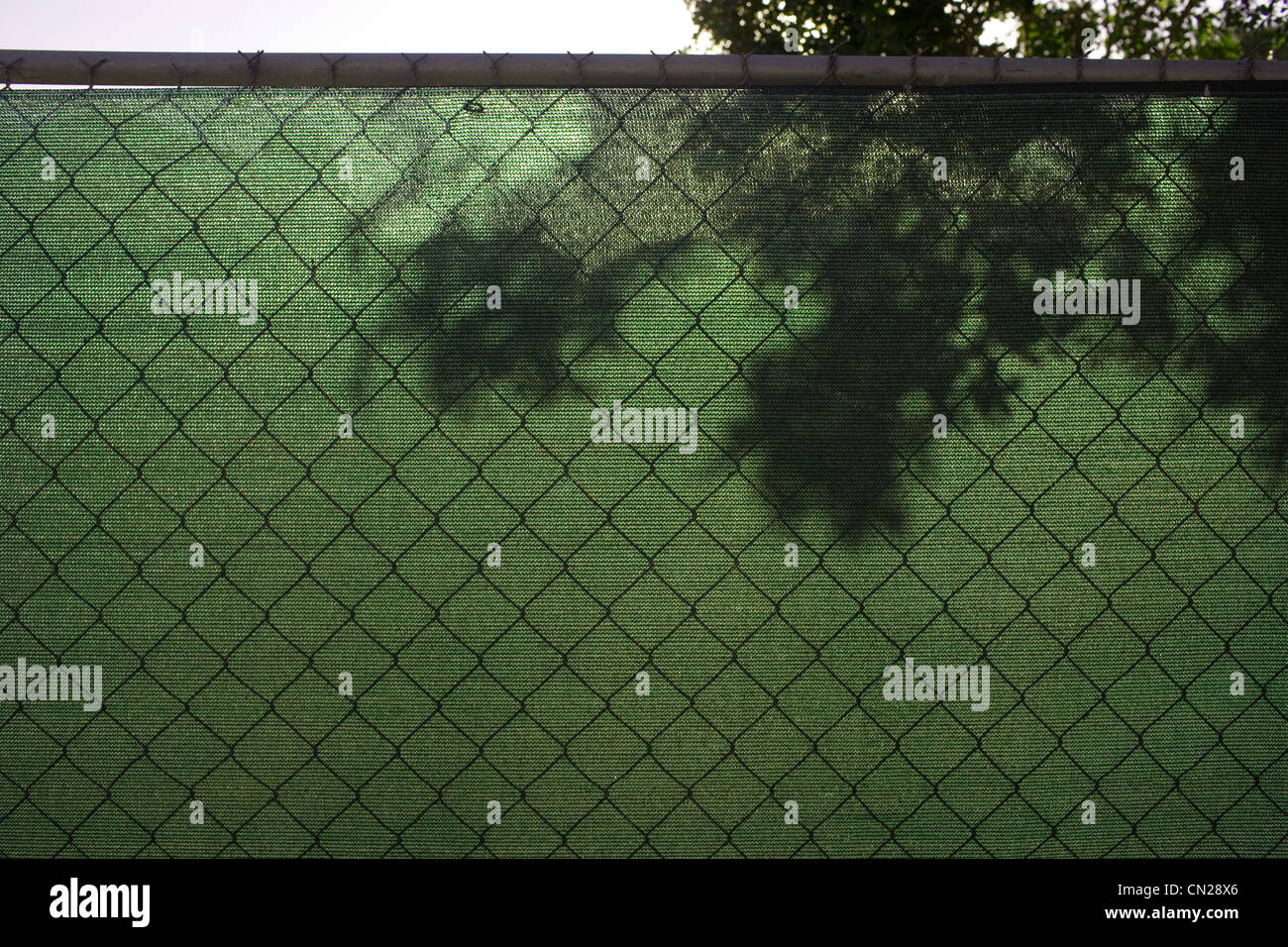 Schermo verde sul recinto di filo Foto Stock