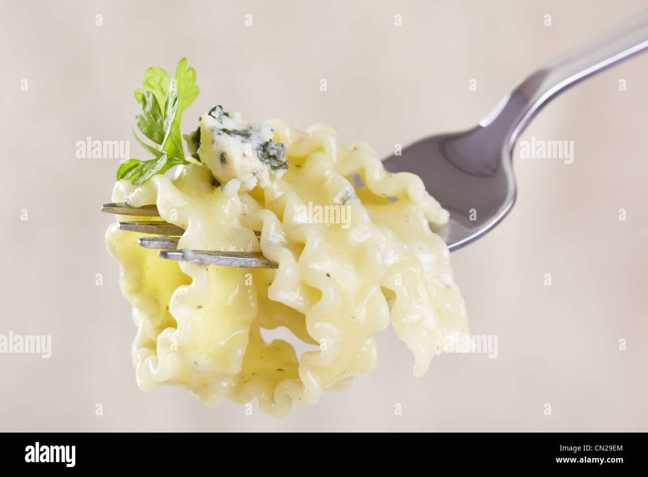 Pasta Foto Stock
