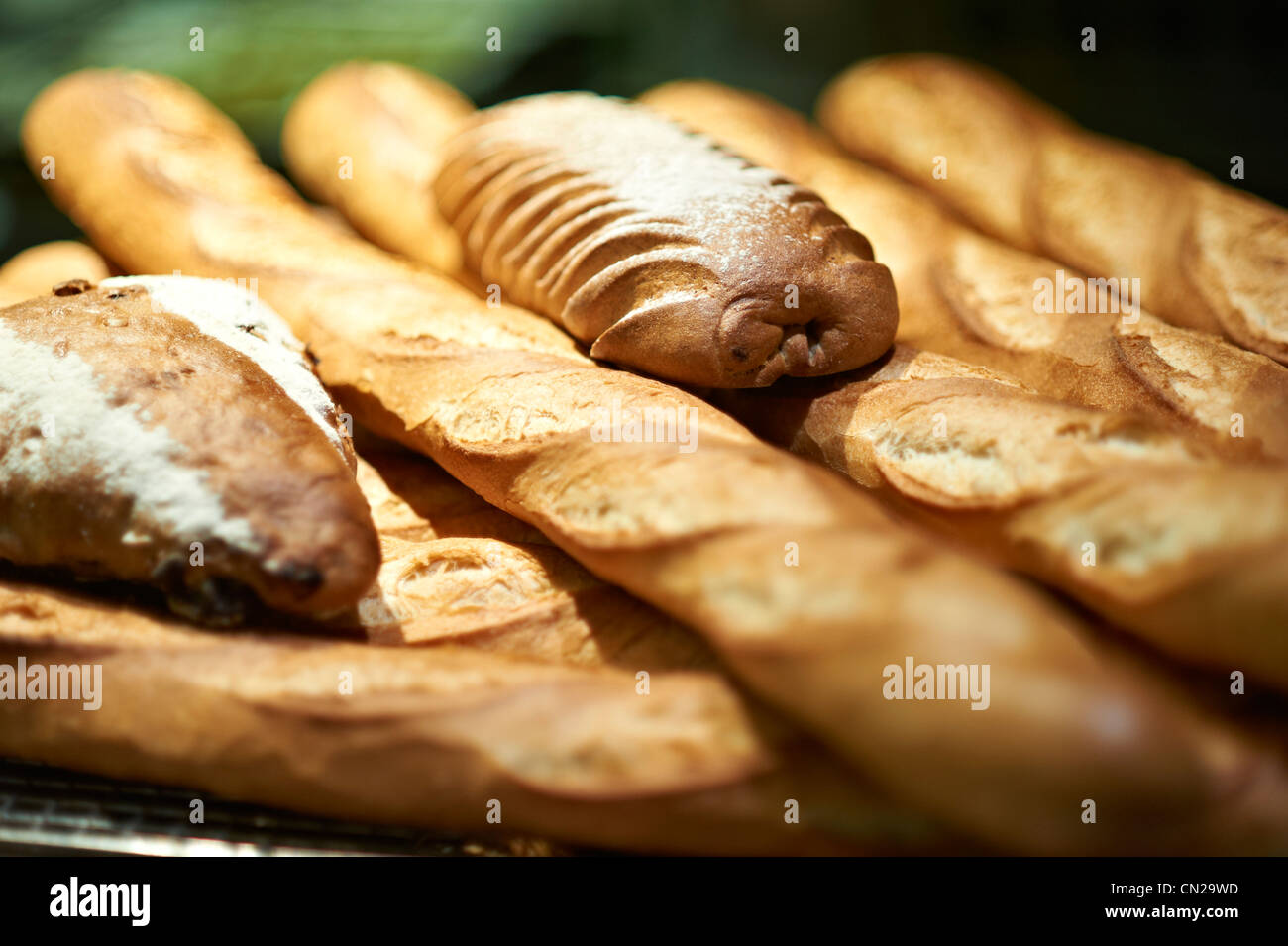 Pane Foto Stock