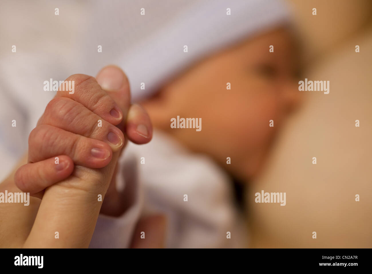 Neonato bambino genitore di presa del dito Foto Stock