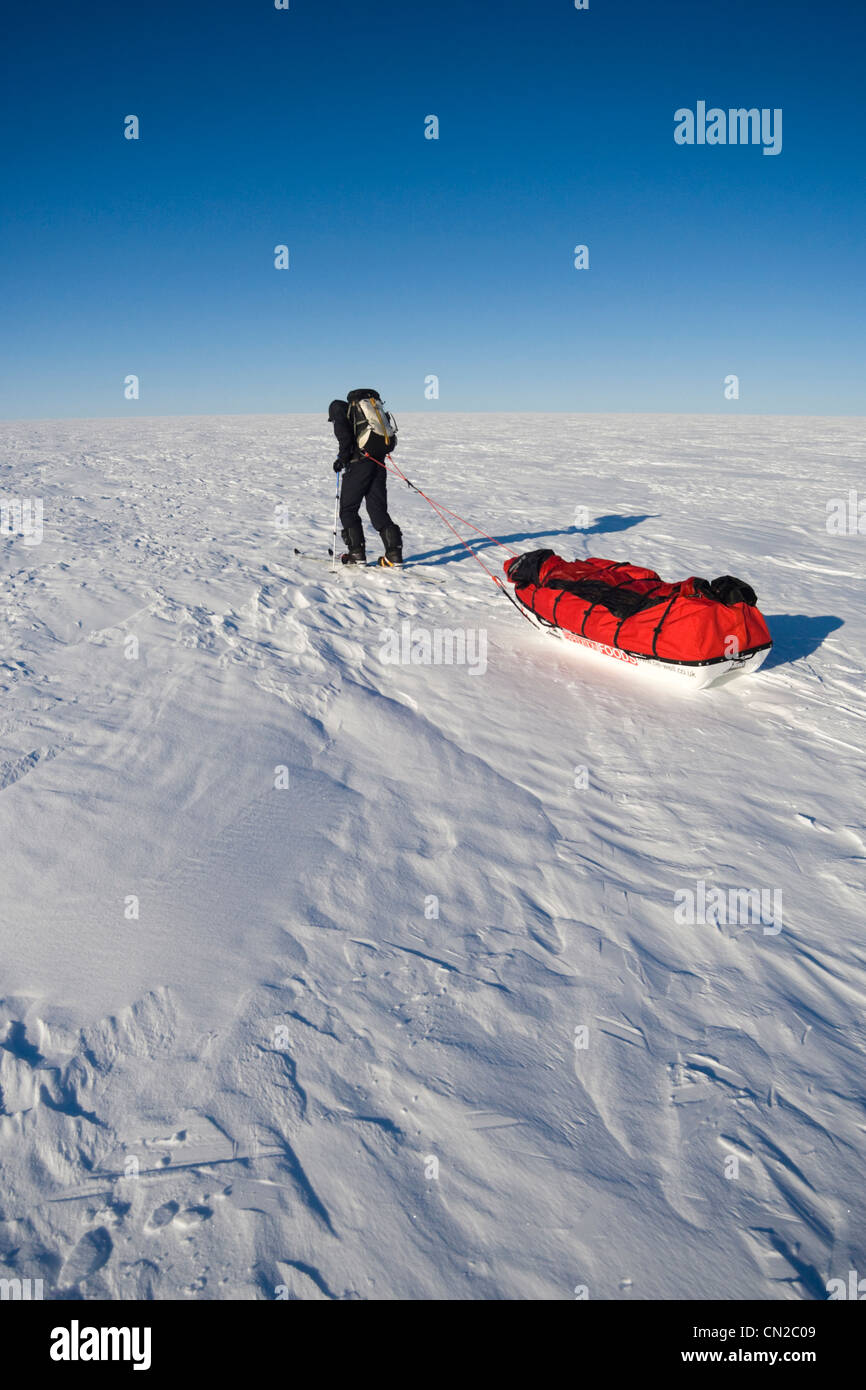 Explorer alaggio slitta nella regione polare, Groenlandia Foto Stock
