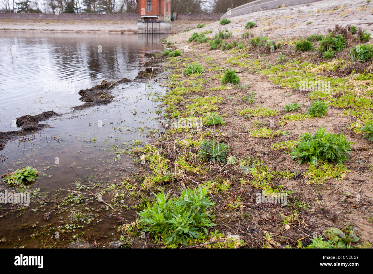 Siccità a Swithland serbatoio nel Leicestershire. Foto Stock