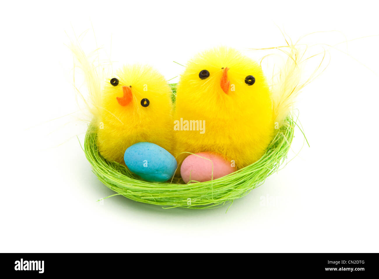 Due pulcini di pasqua in un nido verde Foto Stock