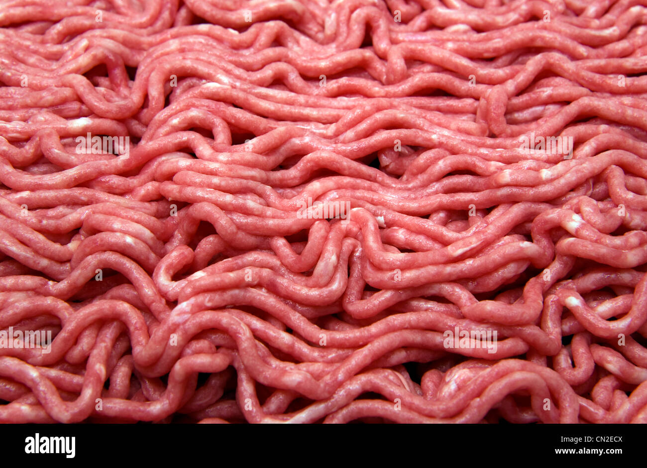 Carne di manzo macinata, Close-Up Foto Stock