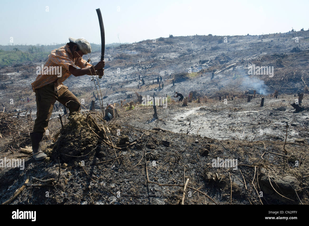 Uomo riducendo la vegetazione bruciata una collina dopo la deforestazione. Strada di Pathein per Mawdin Sun. delta di Irrawaddy. Myanmar. Foto Stock