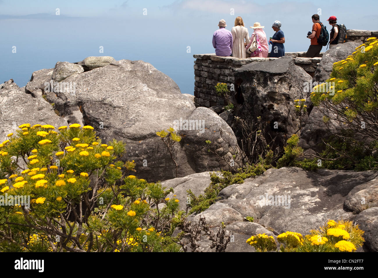 Punto Panoramico, Table Mountain, Città Del Capo, Sud Africa Foto Stock