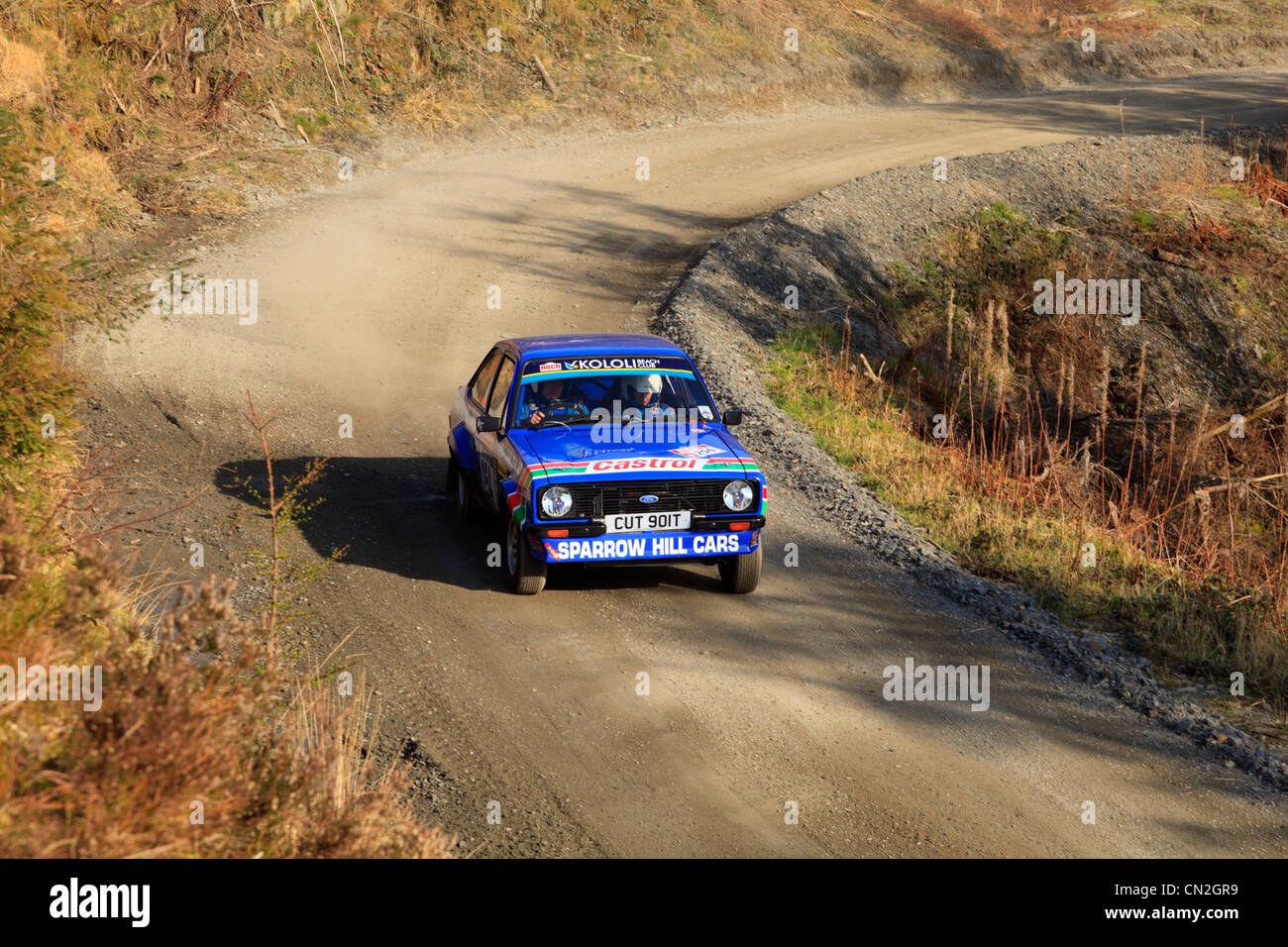 Una vettura da rally nella foresta Dyfi durante la Bulldog Rally 2012 Foto Stock