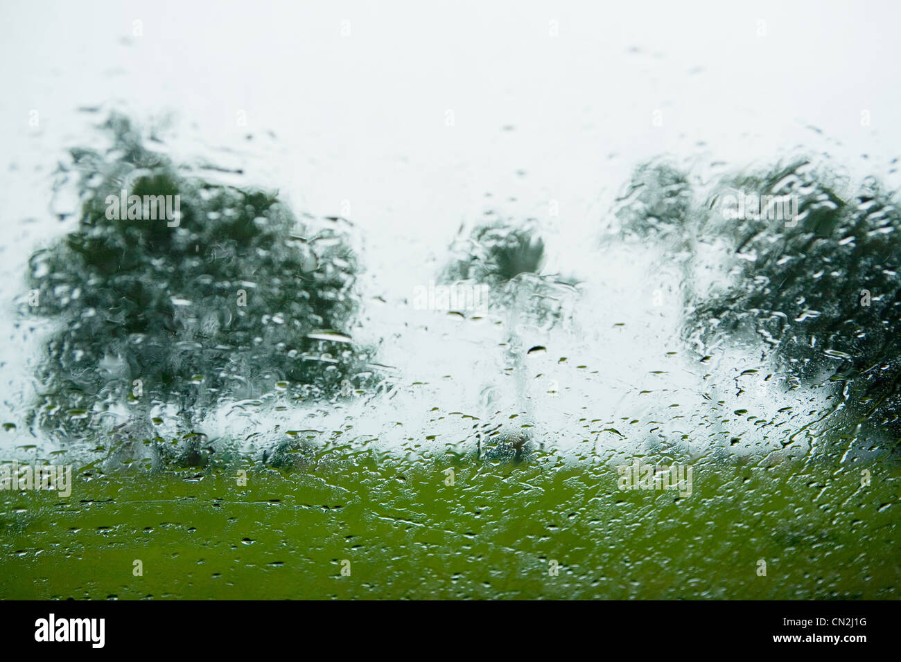 Gocce di pioggia sulla finestra e vista delle palme Foto Stock