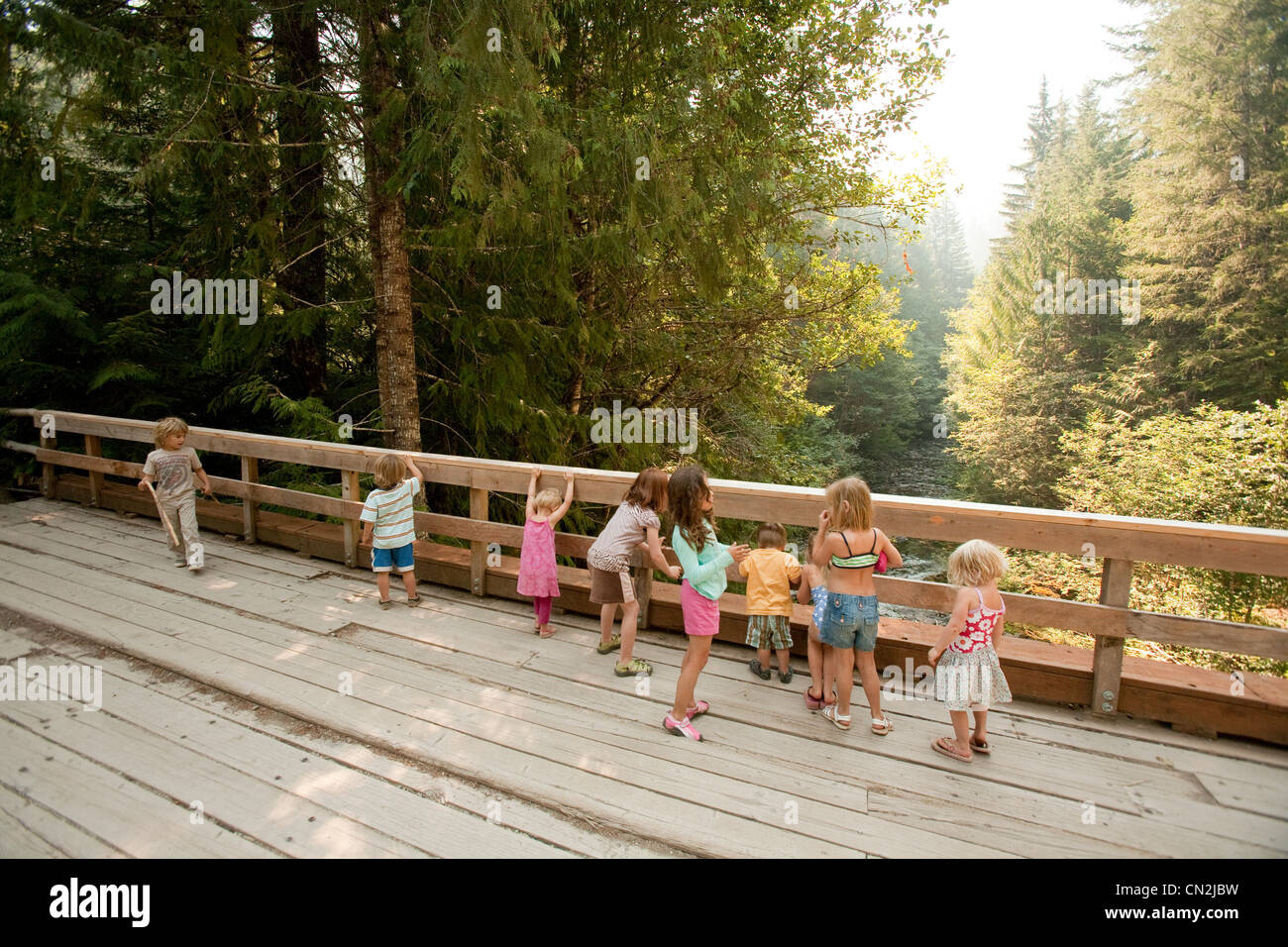 Gruppo di bambini in piedi sul ponte di legno nella foresta Foto Stock