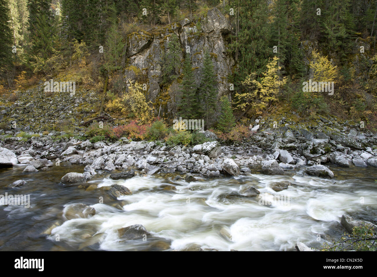 Fiume lungo il terreno roccioso nella foresta, Montana, USA Foto Stock