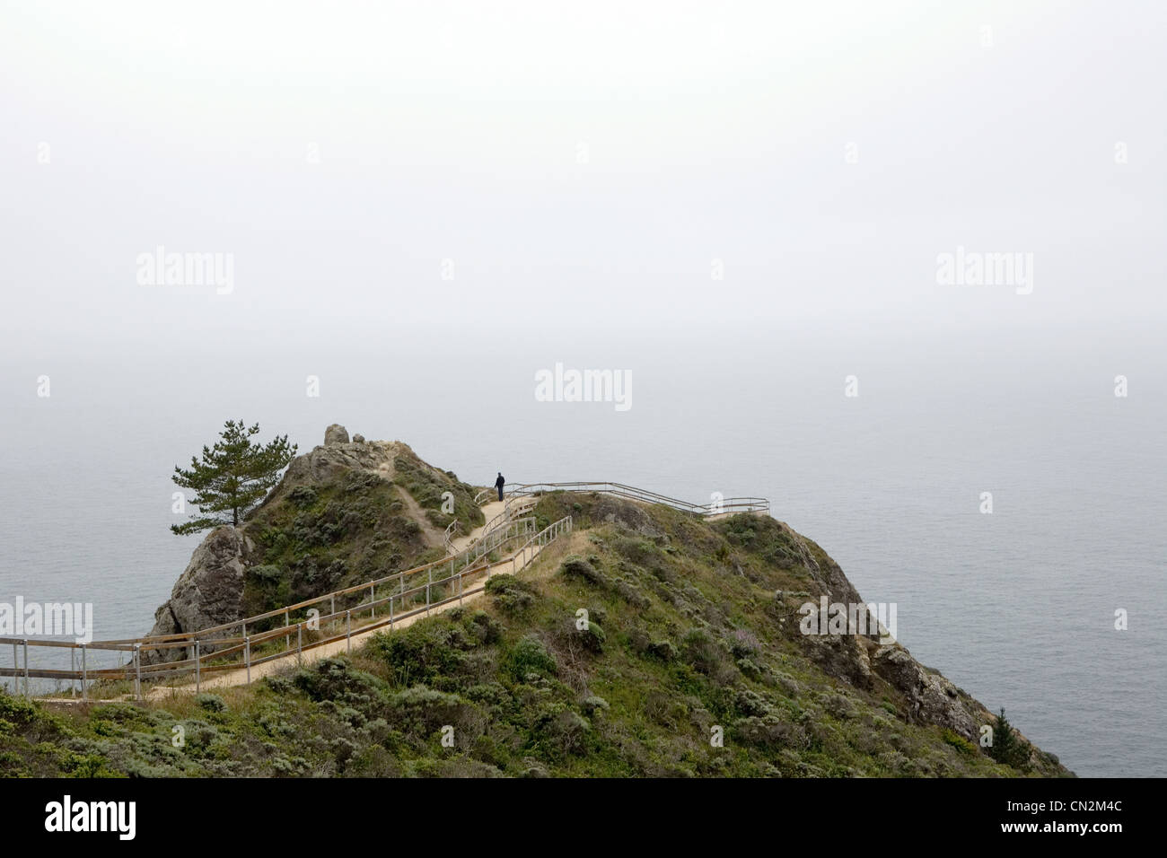 Uomo che guarda a vista, Muir Beach si affacciano, Golden Gate National Park, California, Stati Uniti d'America Foto Stock