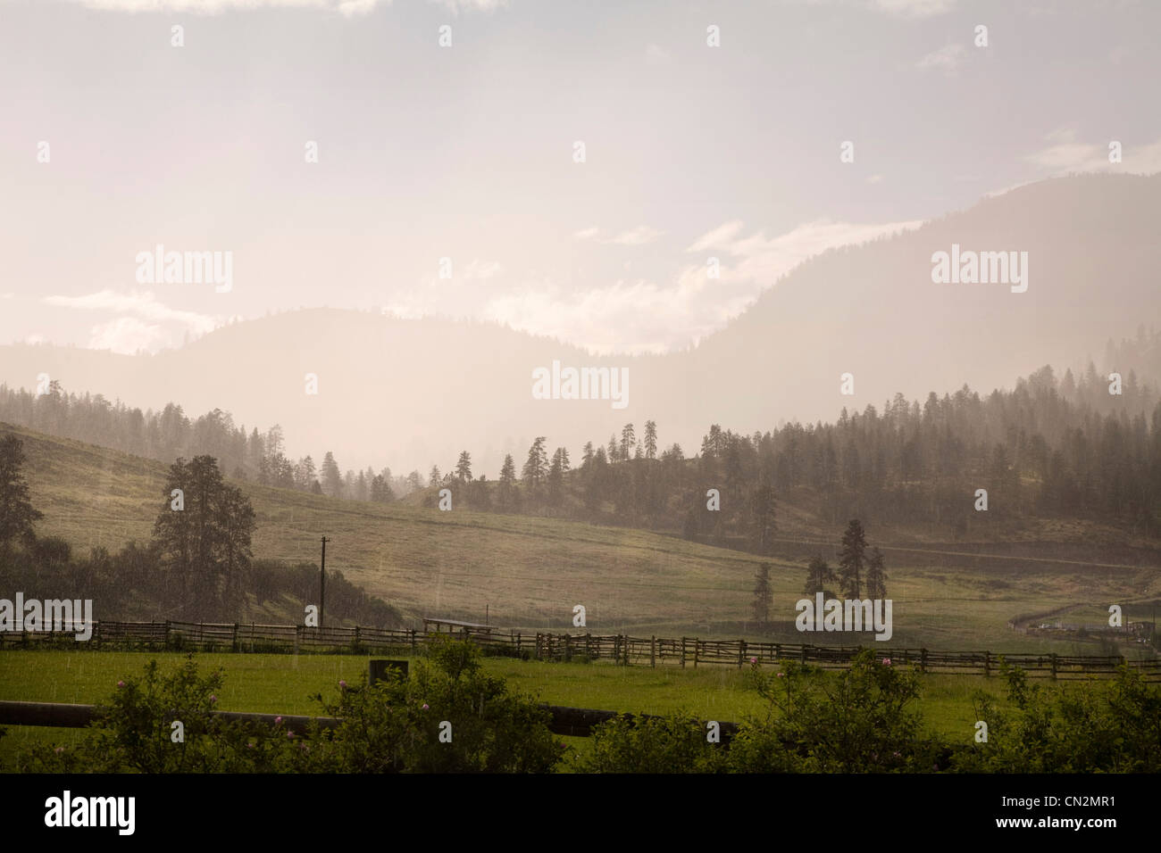 Okanagan meridionale vicino a Oliver, British Columbia Foto Stock