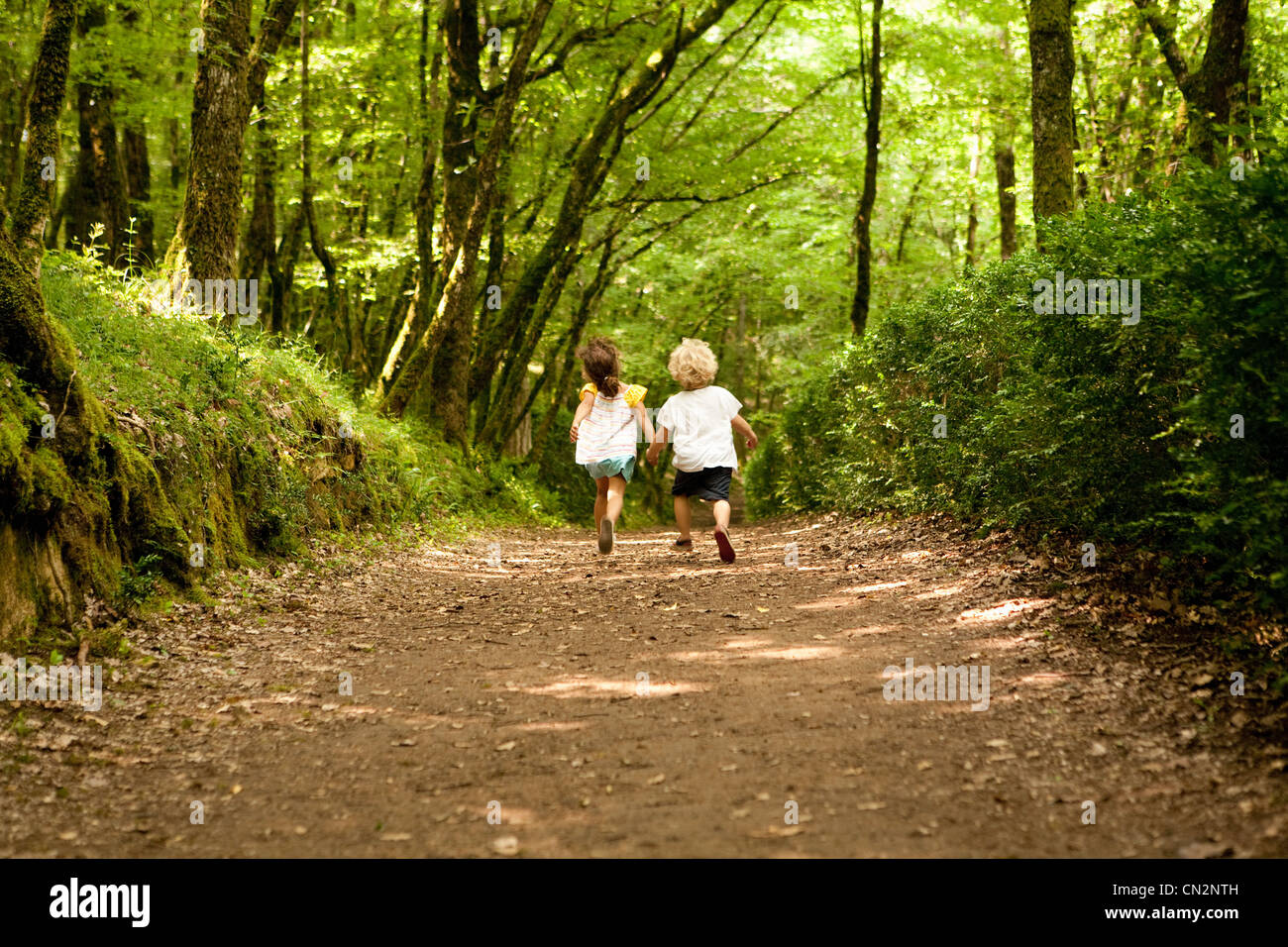 Due bambini sul percorso del bosco Foto Stock