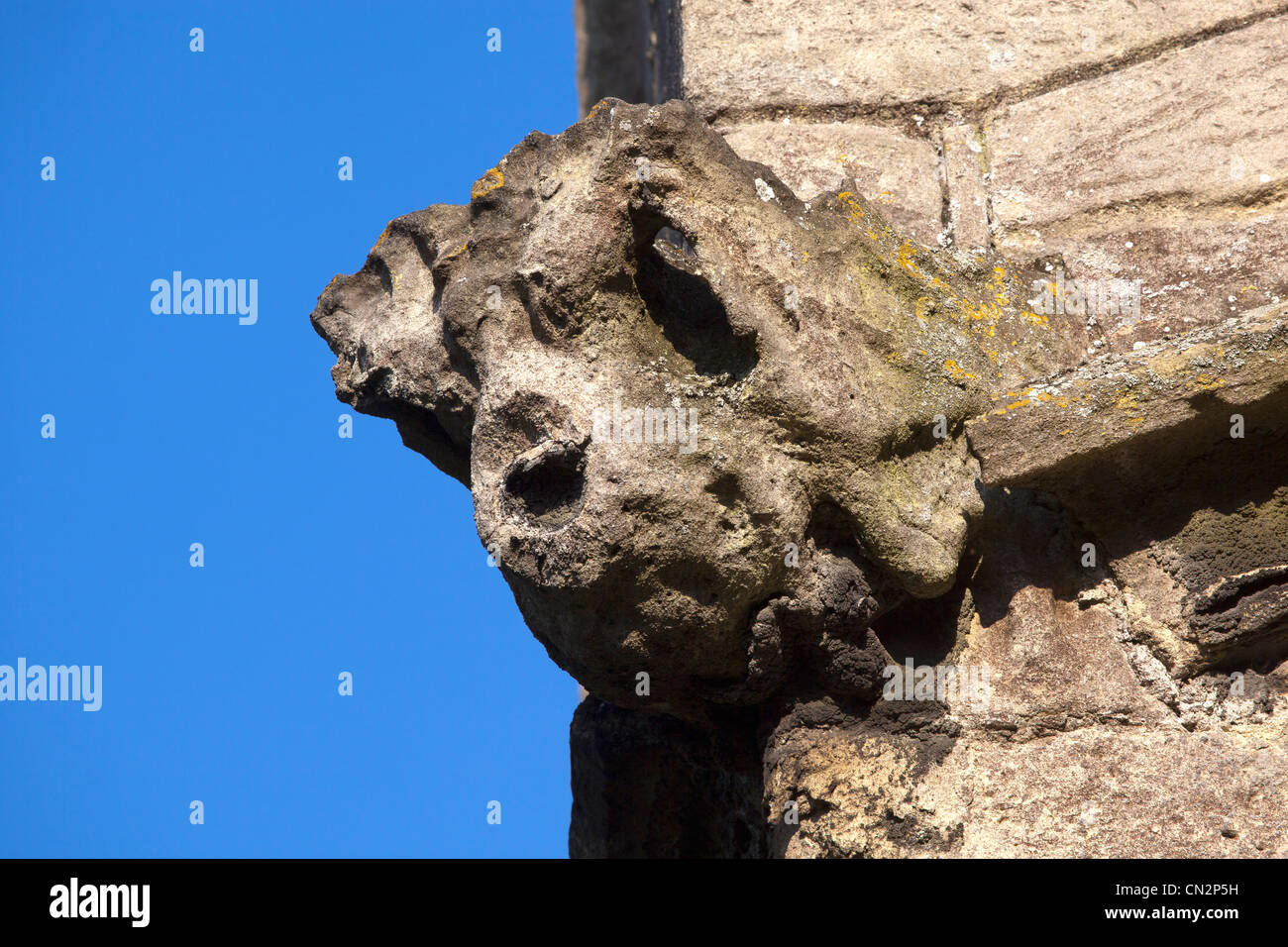 Gargoyle sulla parte esterna di Santa Maria Vergine Chiesa Devizes Foto Stock