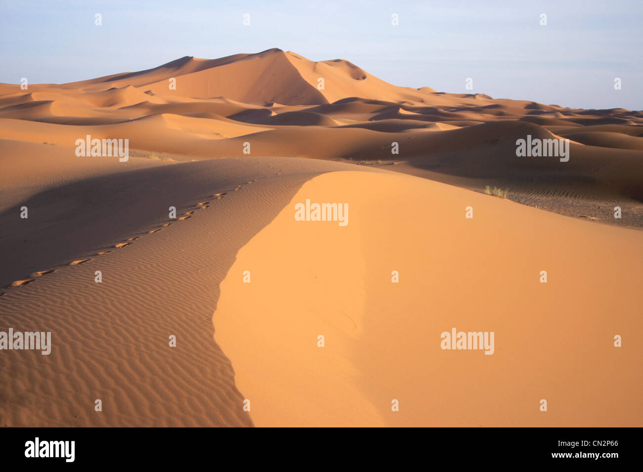 Orme nel deserto, Marocco, Africa del Nord Foto Stock