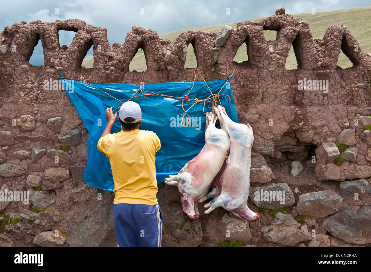 Il Perù, provincia di Cuzco, Inca Sacred Valley, San Ilario, mercato del bestiame, scuoiati pecore appeso ad una parete di fondo Foto Stock