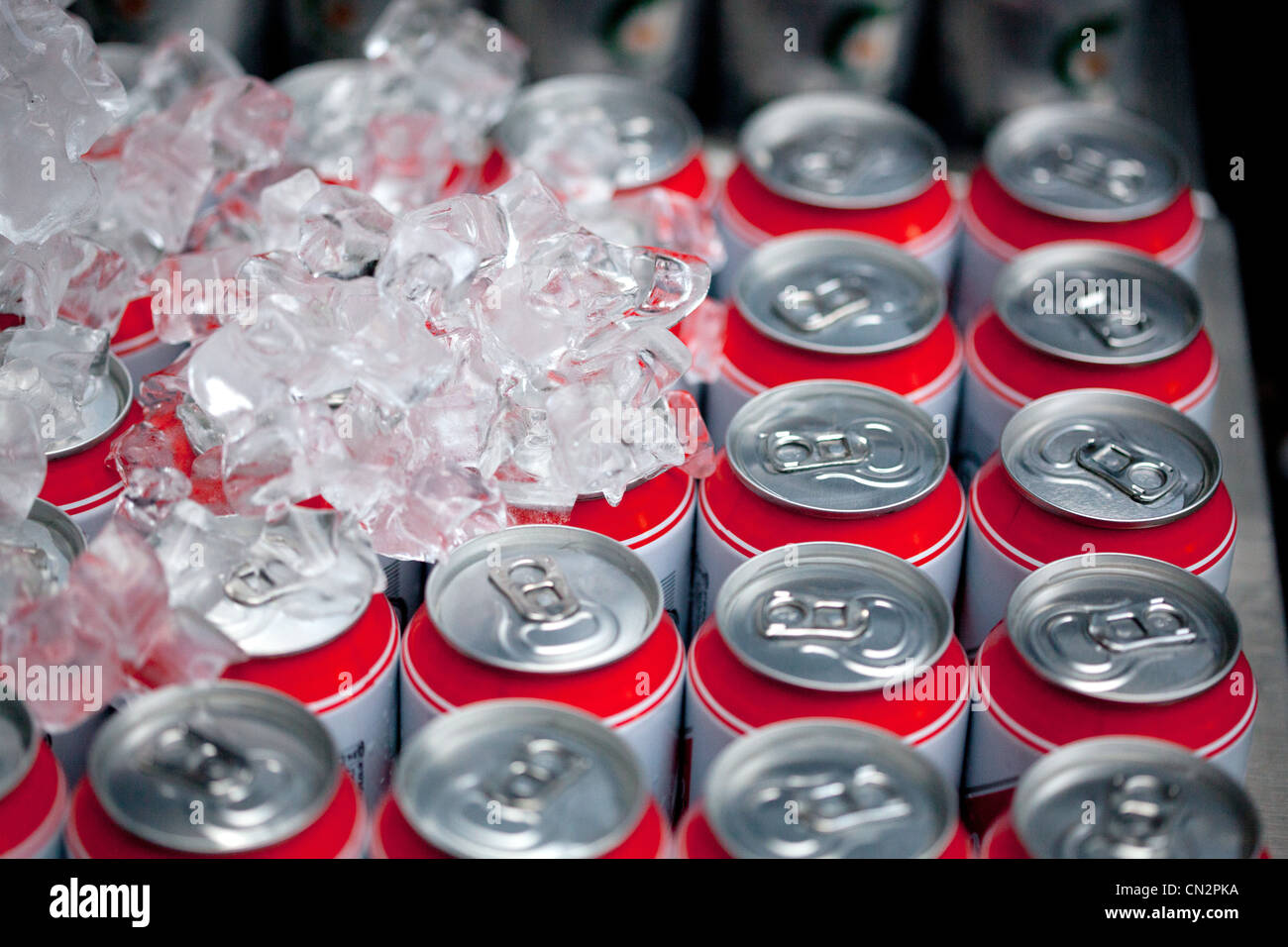 Le lattine per bevande e i cubetti di ghiaccio, close up Foto Stock