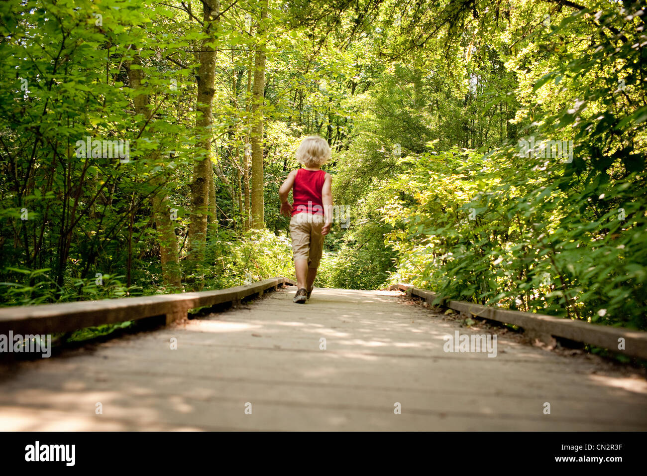 Ragazzo giovane camminando lungo la passerella di legno nella foresta Foto Stock